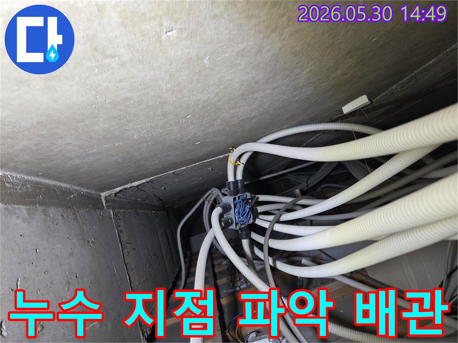 누수-공사-전-배관의-연결-상태와-전반적인-설비-문제를-진단하는-기술자의-세심한-점검