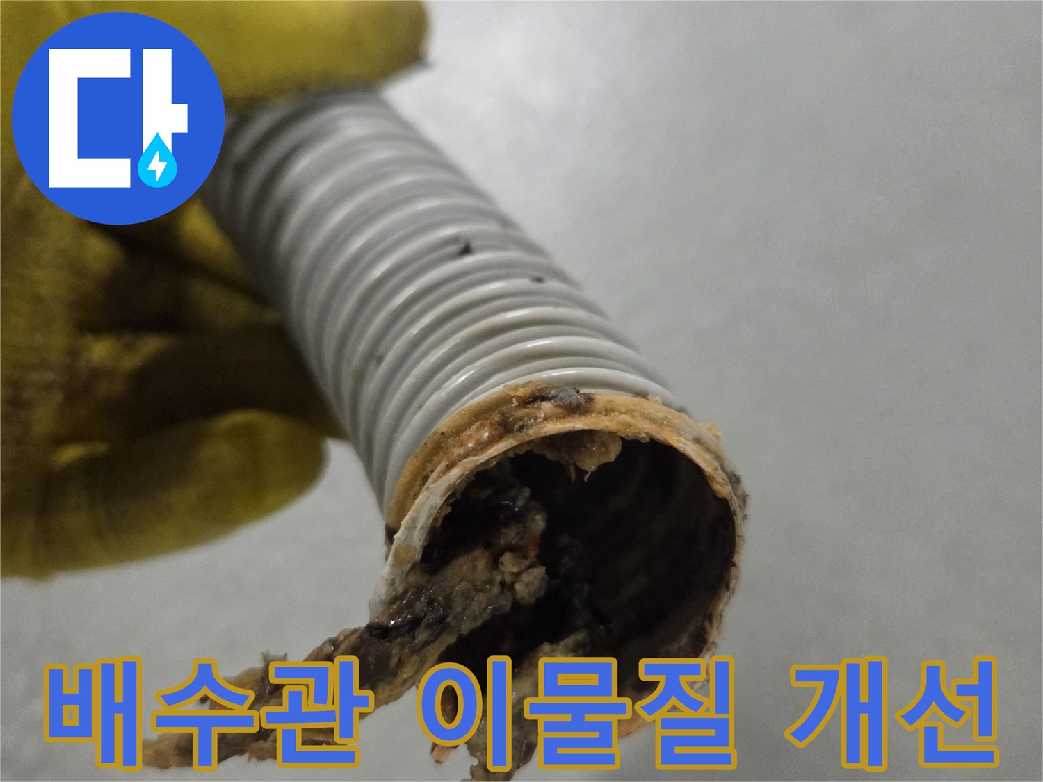 노란색 장갑을 낀 손이-배수 개선을 위해-이물질을 제거해야 할 배수관을 들고 있습니다.