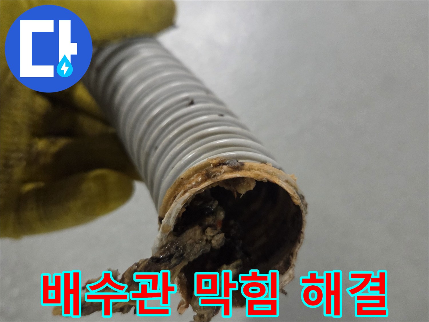 노란색 장갑을 낀 손이-오염된 배수관의 단면을-자세히 보여주고 있습니다.