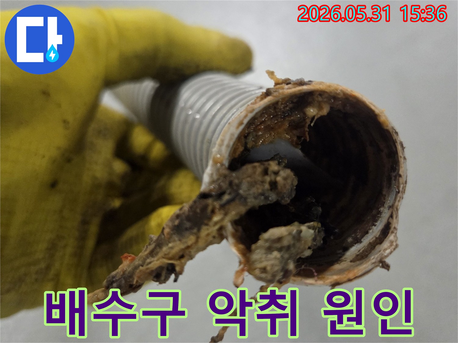 싱크대 배수구 악취의-주범인-오래된 음식물 찌꺼기로-오염된 주름호스 내부