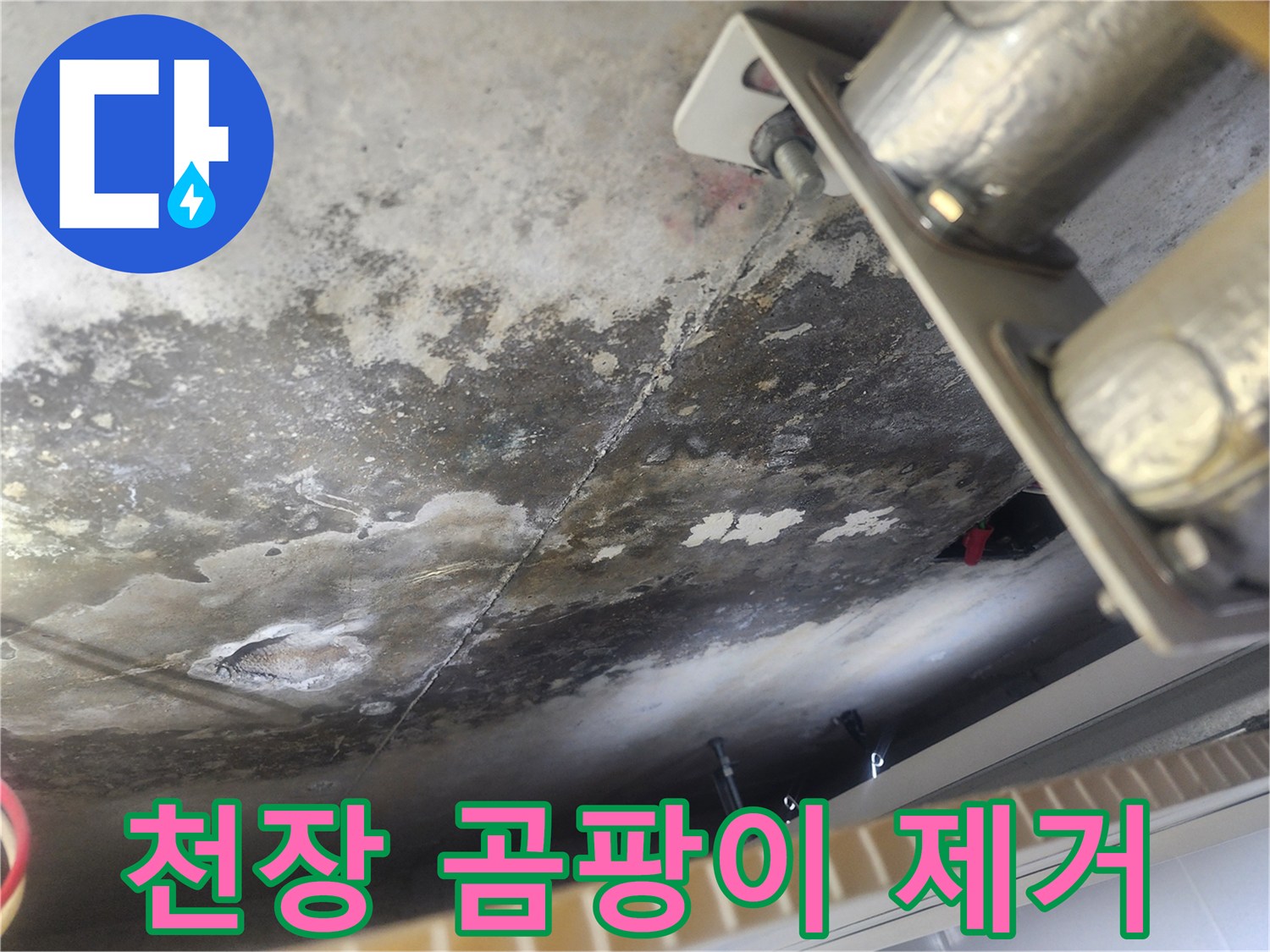 아랫집 천장에-심하게 번진 곰팡이를-전문가가 진단하고-제거하는 현장