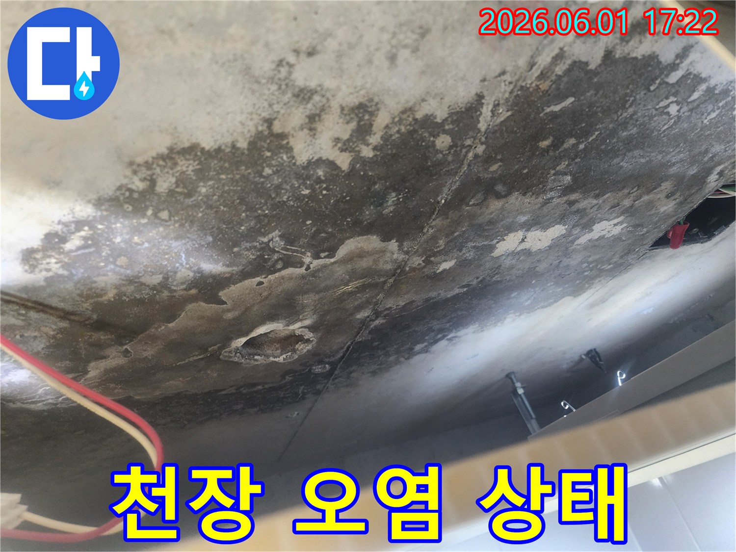 아랫집으로-물이-새어-천장에-얼룩과-곰팡이가-생긴-심각한-누수-현장-사진입니다