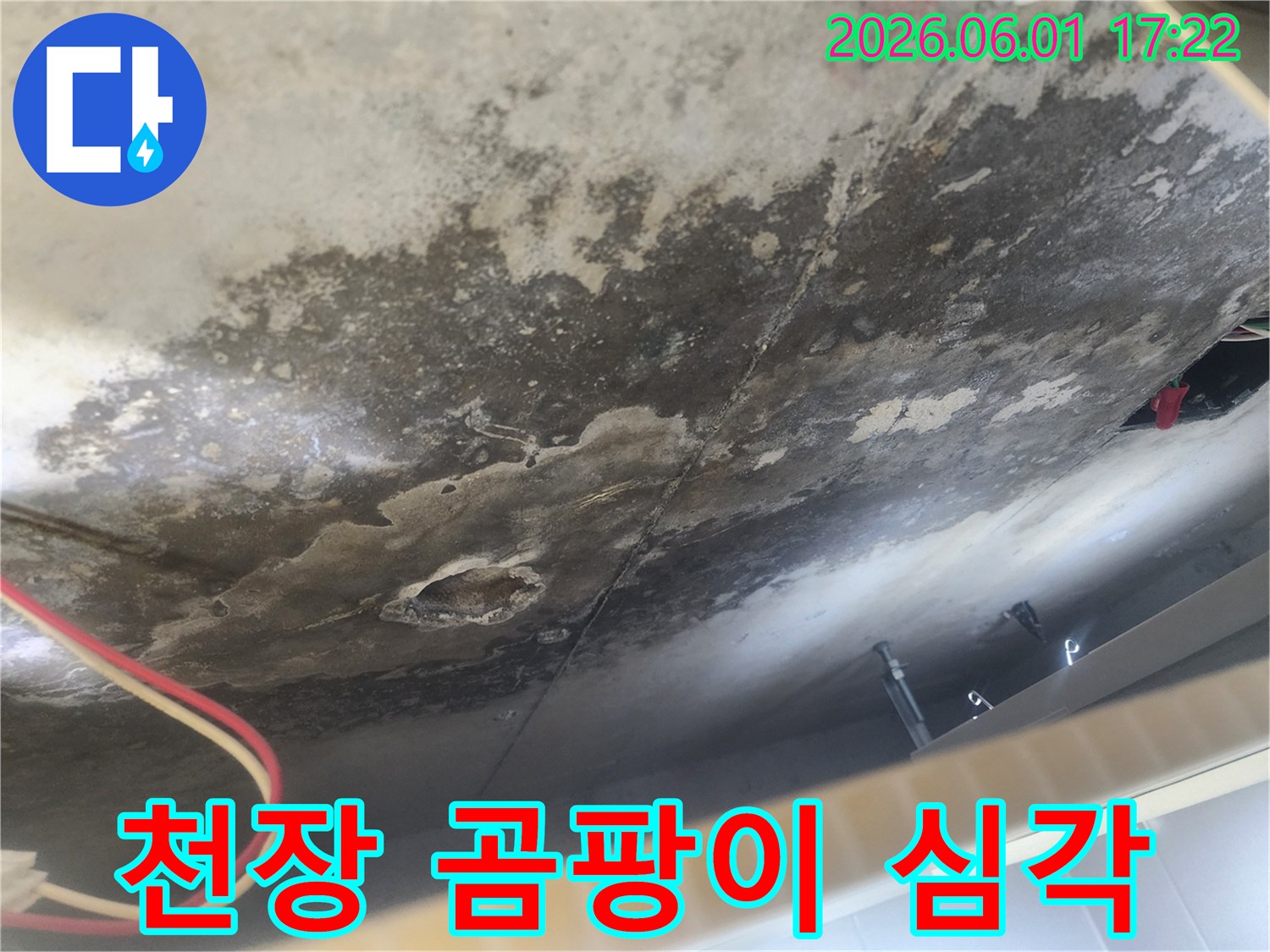 천장 콘크리트 표면에-심한 물자국과-검은 곰팡이가-번식한 모습으로-누수 피해의-심각성을 보여줍니다.