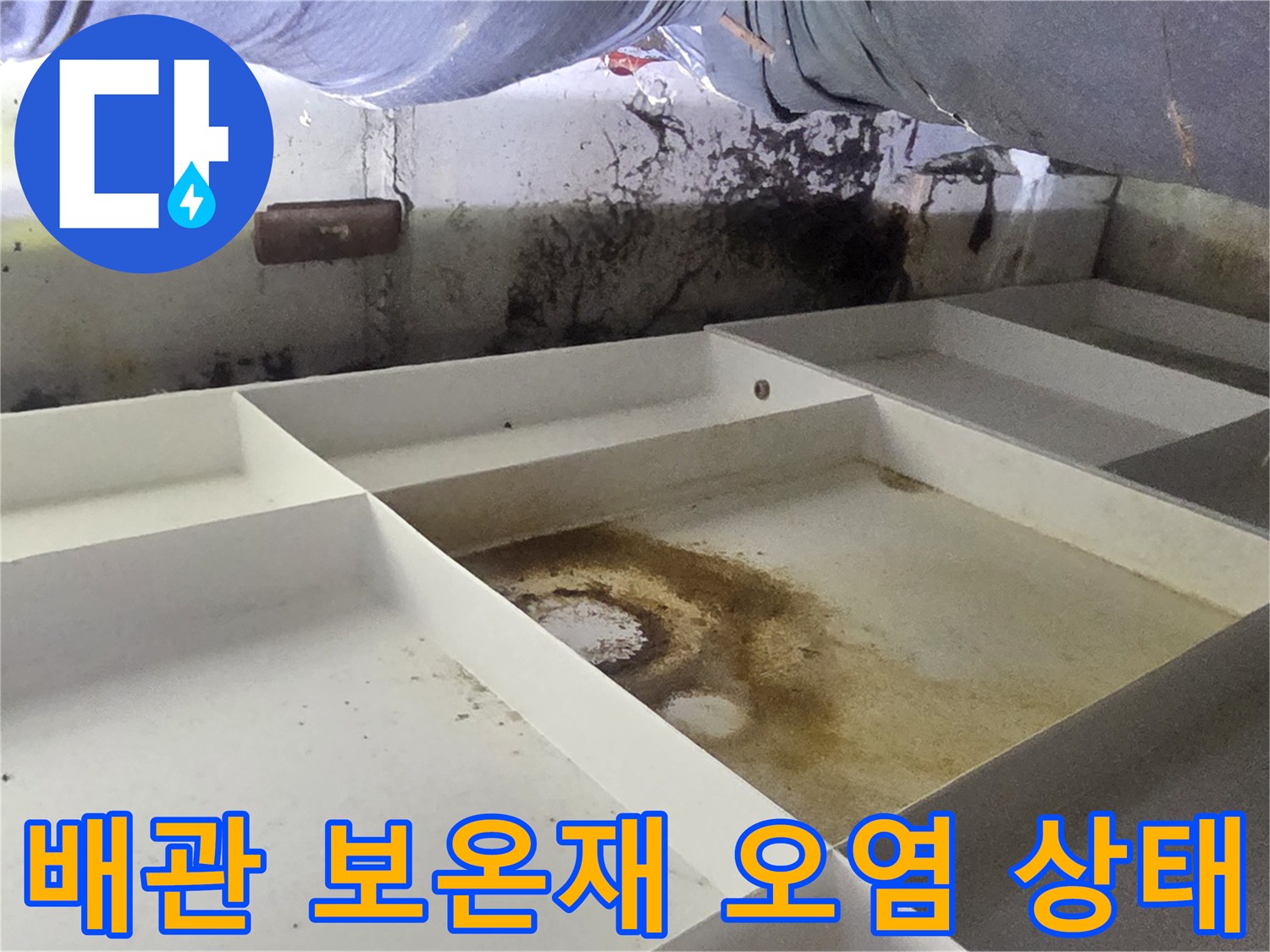 천장 내부-배관 보온재에 나타난 갈색 물얼룩과 곰팡이