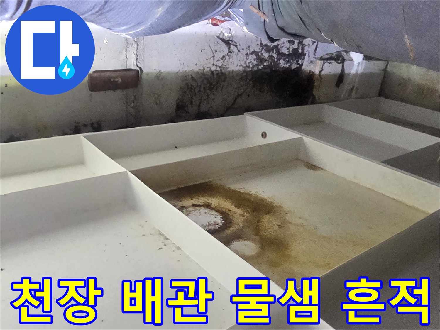 천장 내부 배관 주변의 젖은 얼룩과 오염된 상태