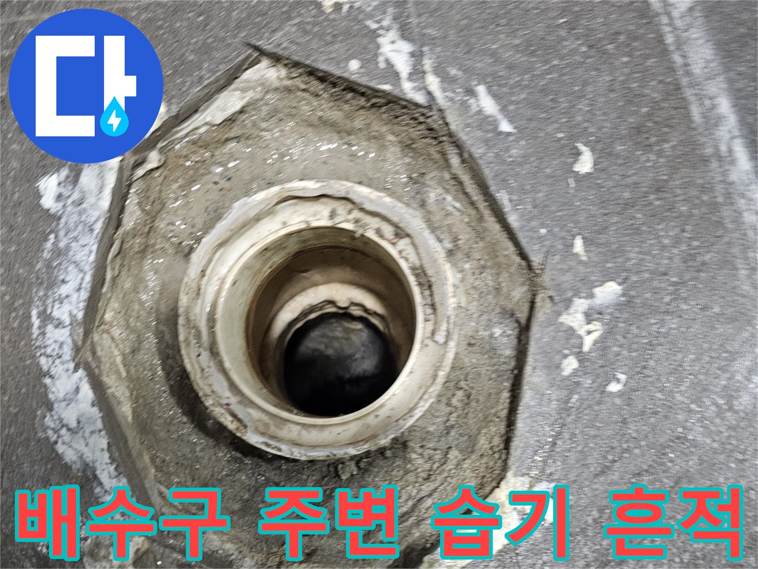 배수구-입구-주변의-젖은-타일-상태