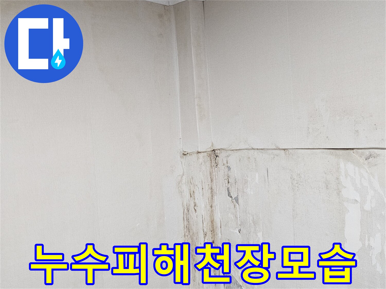 용인-상가-천장-부위-물샘-및-훼손-현황