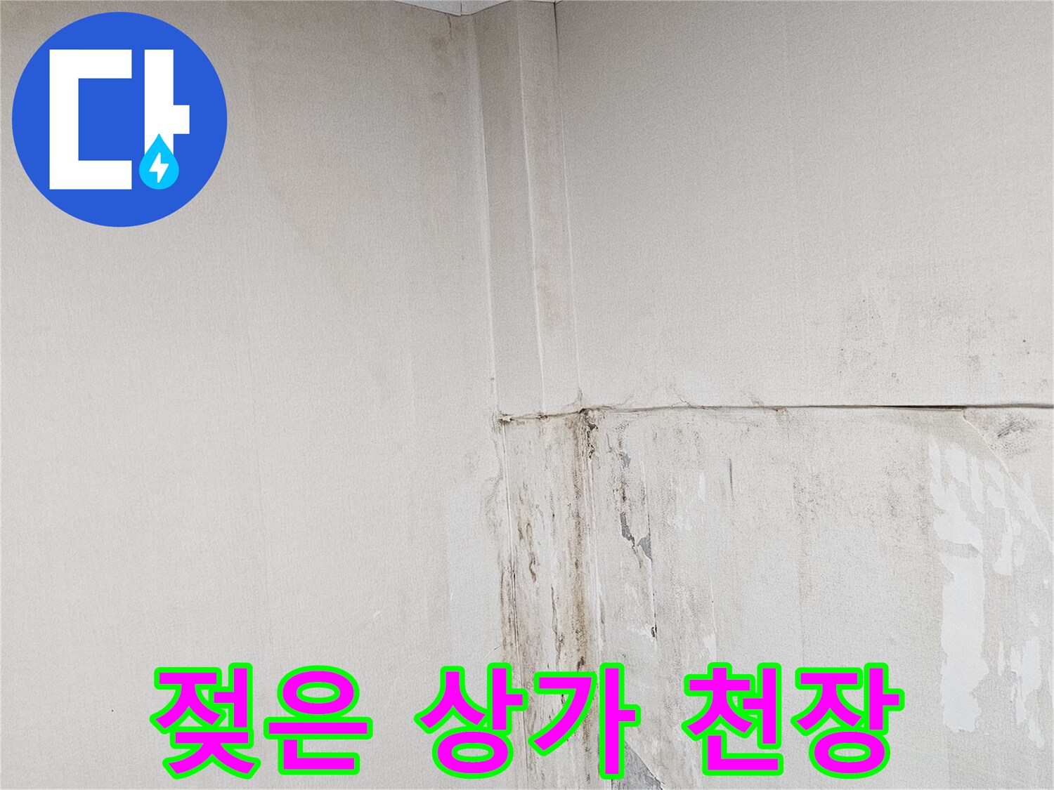 용인 수지구 상가 내부-천장과 벽면이 물에 젖어 있는 모습