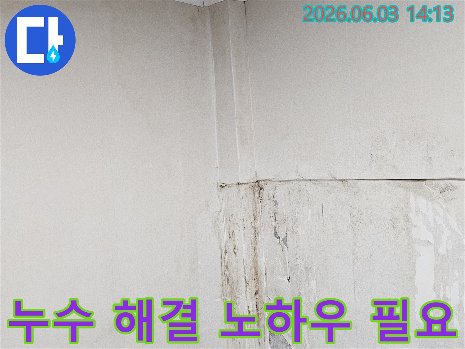 천장-누수-피해를-보여주며-누수-문제-해결을-위한-전문-노하우가-필요한-상황