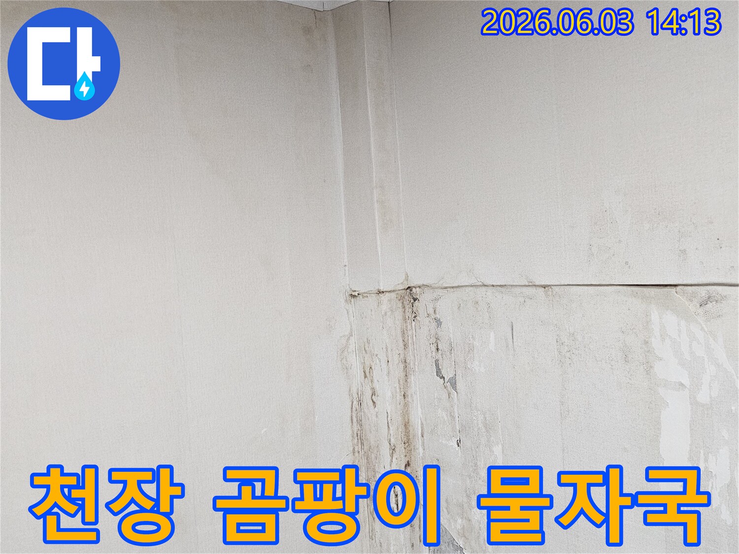 천장-모서리에-오랜-누수로-인해-생긴-곰팡이와-물자국-사진