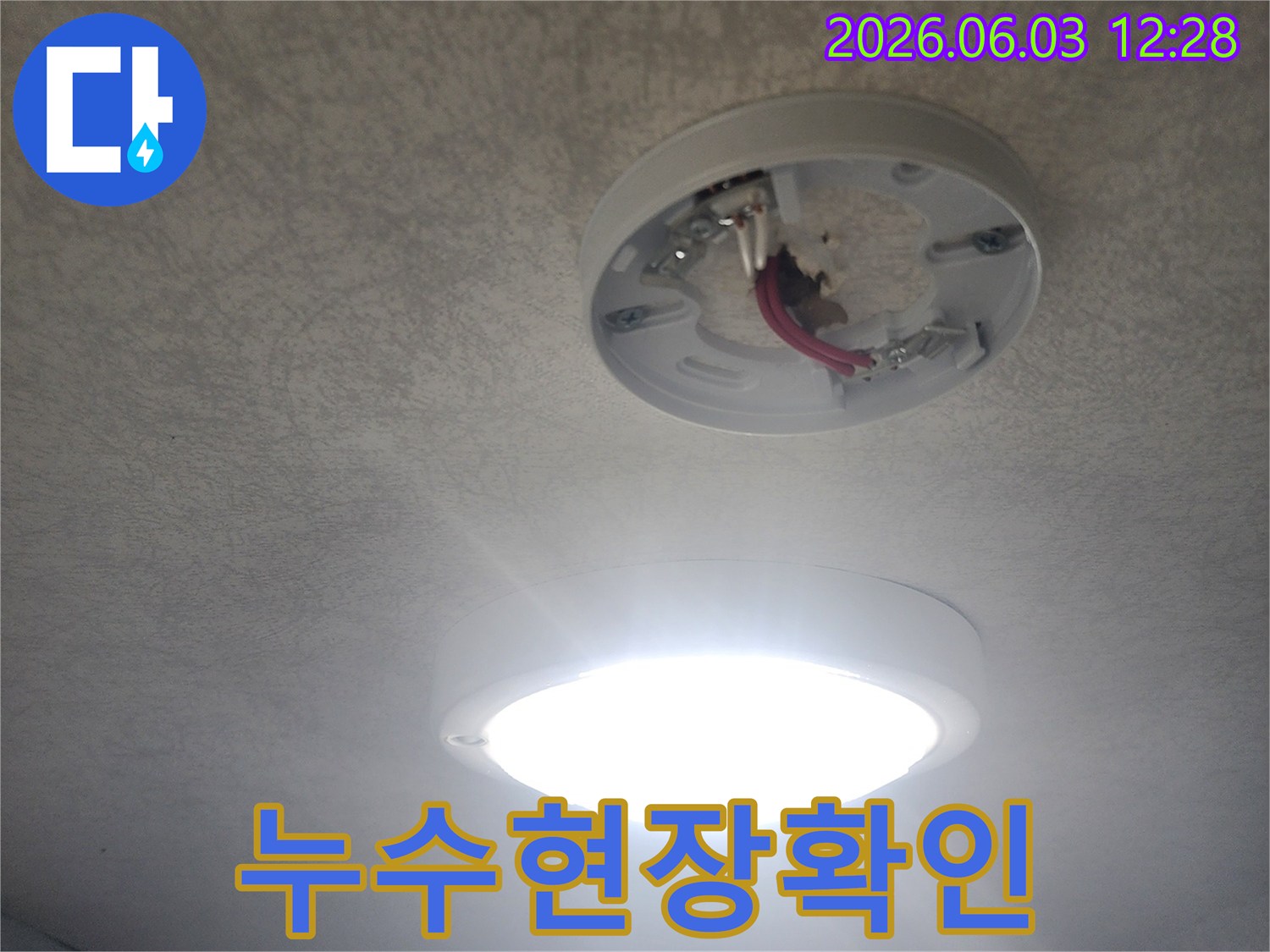 숙련된-기술자가-천장-누수-진단을-위해-전기-배선을-살피는-모습-해당-위치에서는-누수가-감지되지-않았습니다