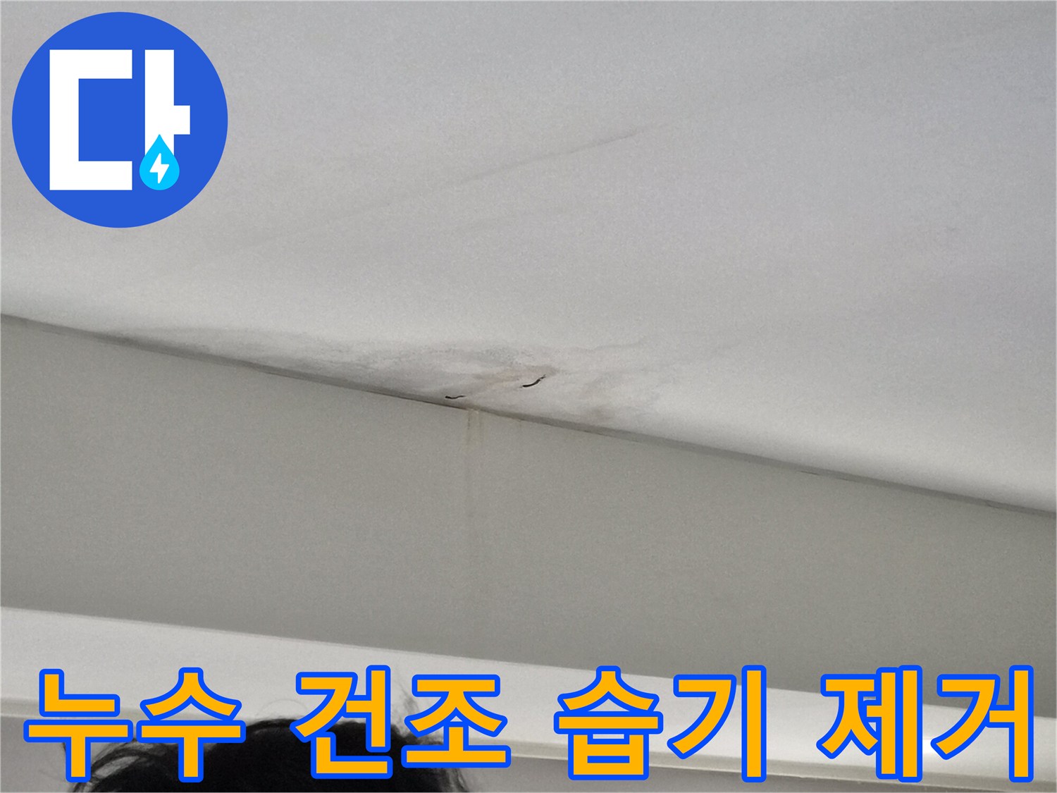 천장-모서리-부분에-발생한-누수-얼룩과-벽면-젖음-현상을-보여주는-사진으로-신속한-건조가-필요한-빌라-현장