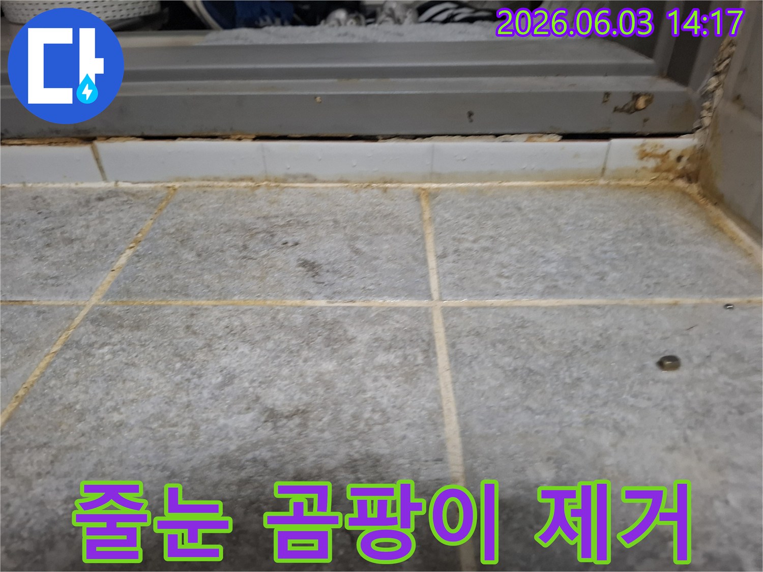욕실 타일 줄눈에 광범위하게 퍼진-곰팡이와 물때를 제거하기 전의 오염된 상태를 보여줍니다.