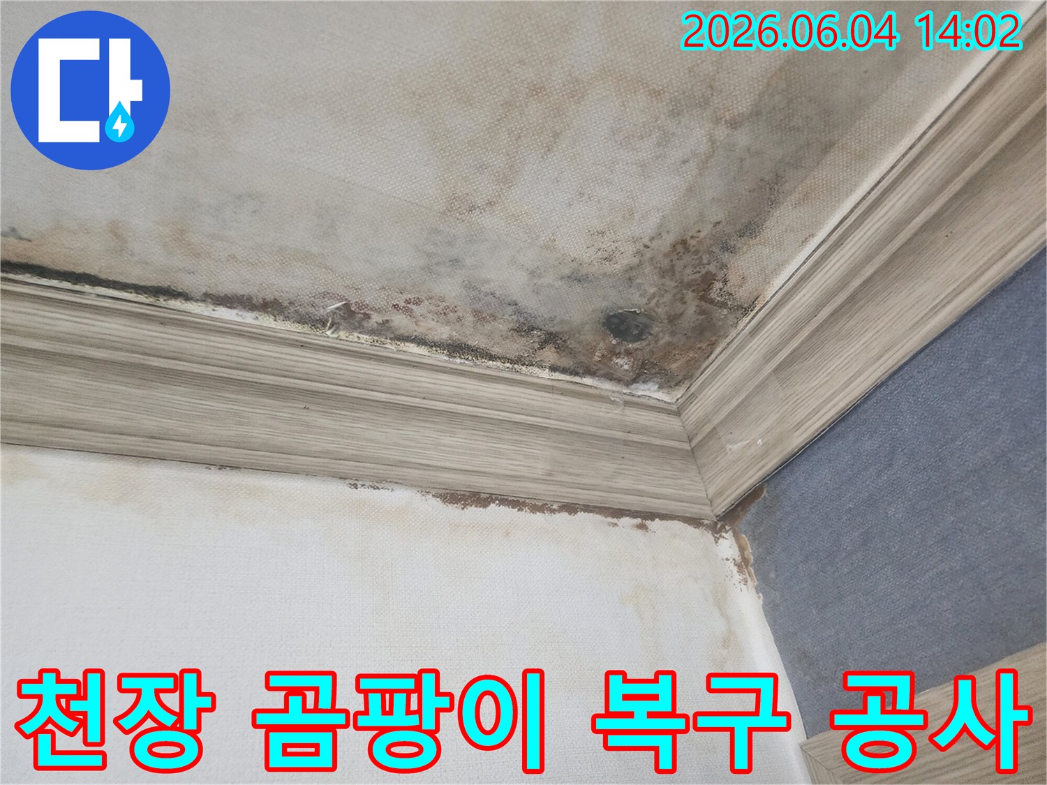 아파트 천장과 벽의 경계면에-누수로 인해 발생한-검은 곰팡이와 물자국이 선명한-피해 상황을 보여주는 사진