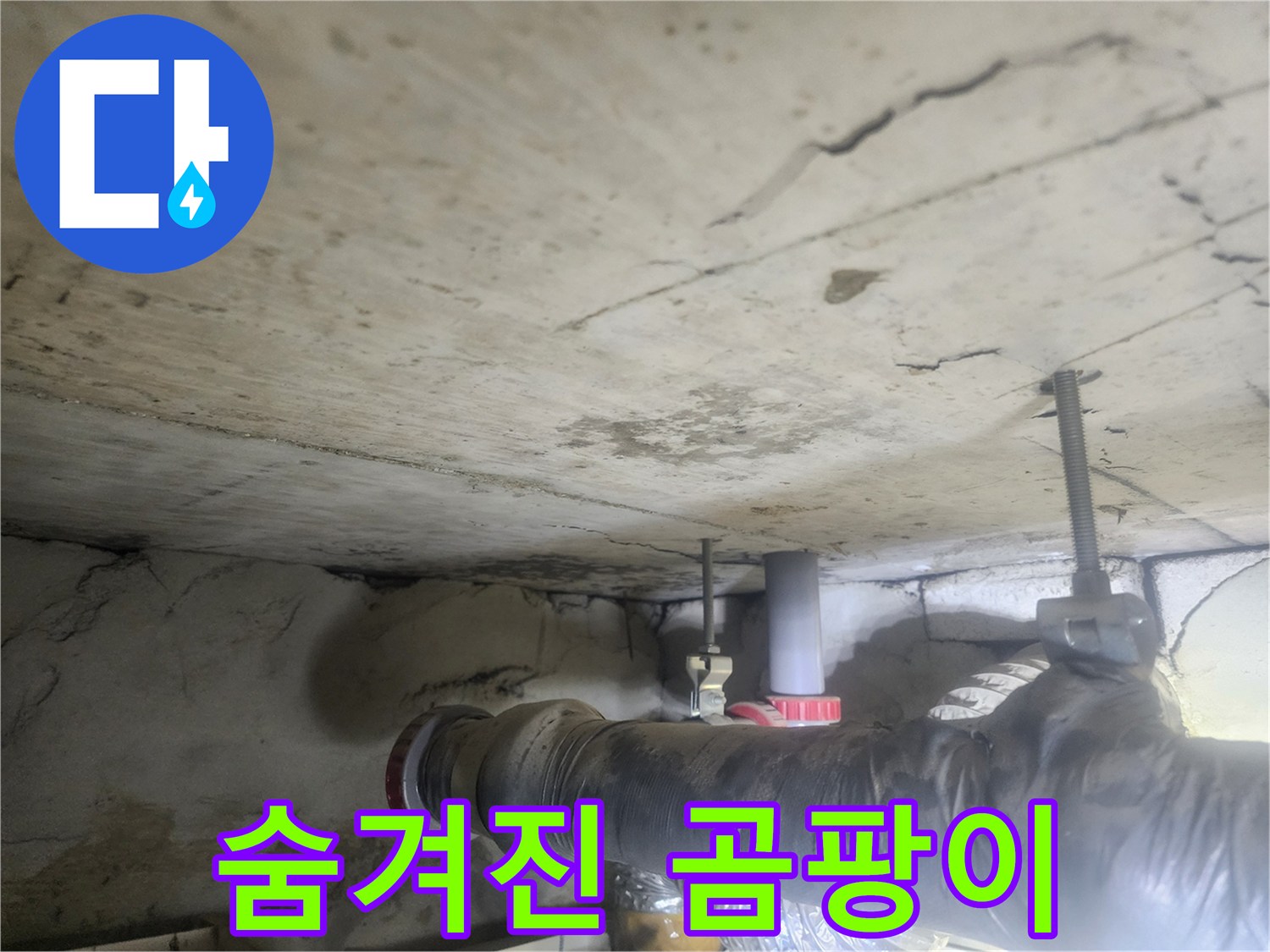 천장-내부의-어둡고-습한-공간에-누수로-인해-발생한-곰팡이를-보여주는-사진입니다