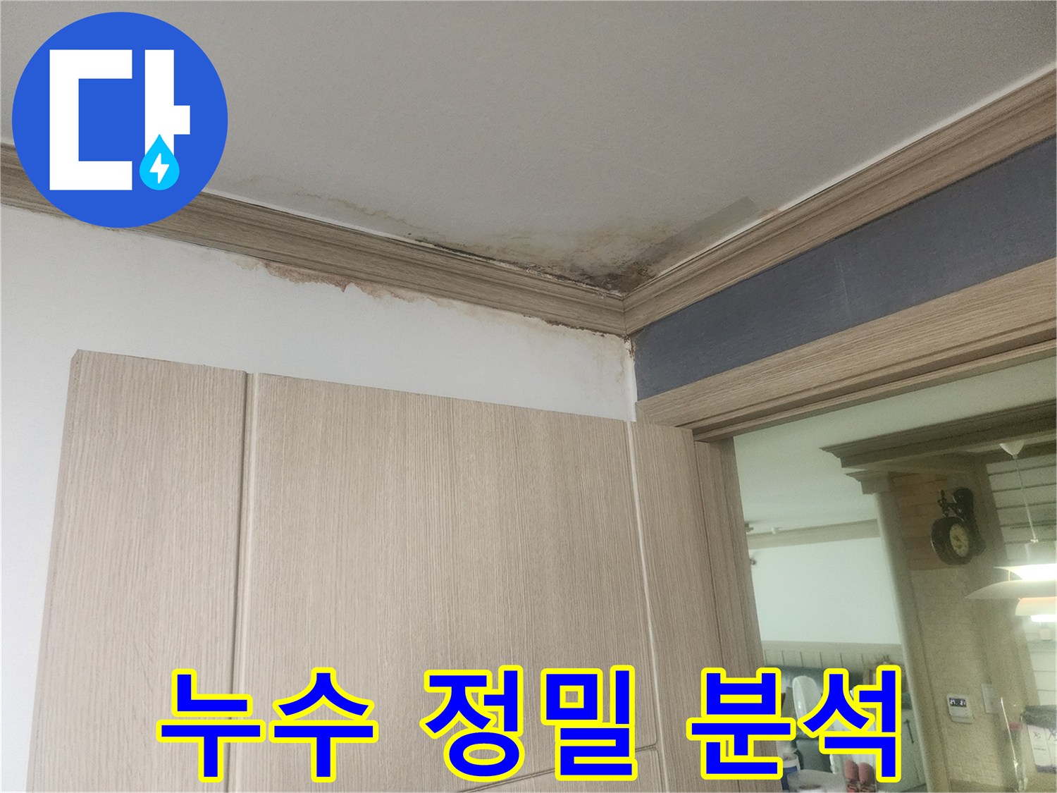천장-모서리-부분에-발생한-누수-얼룩과-곰팡이-피해를-정밀하게-분석해야-합니다.