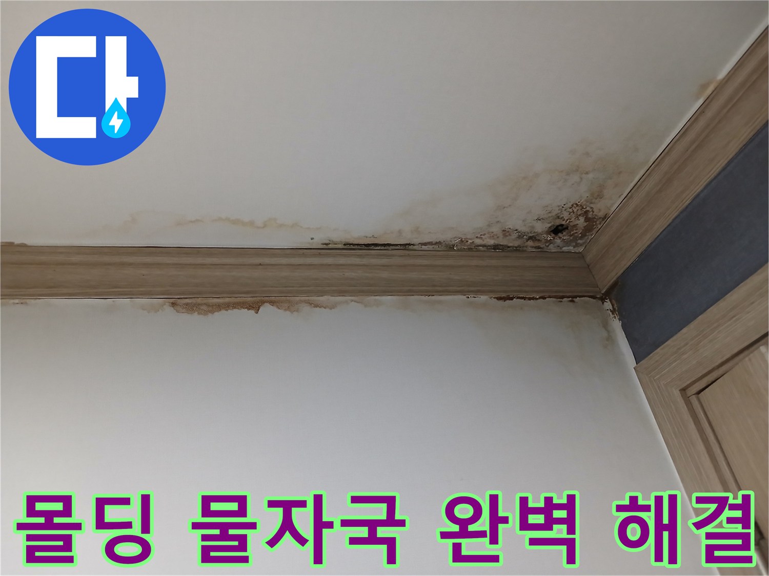 평택 지역-아파트 아랫집 작은방 천장 몰딩에-선명하게 나타난-누수 물자국과-곰팡이