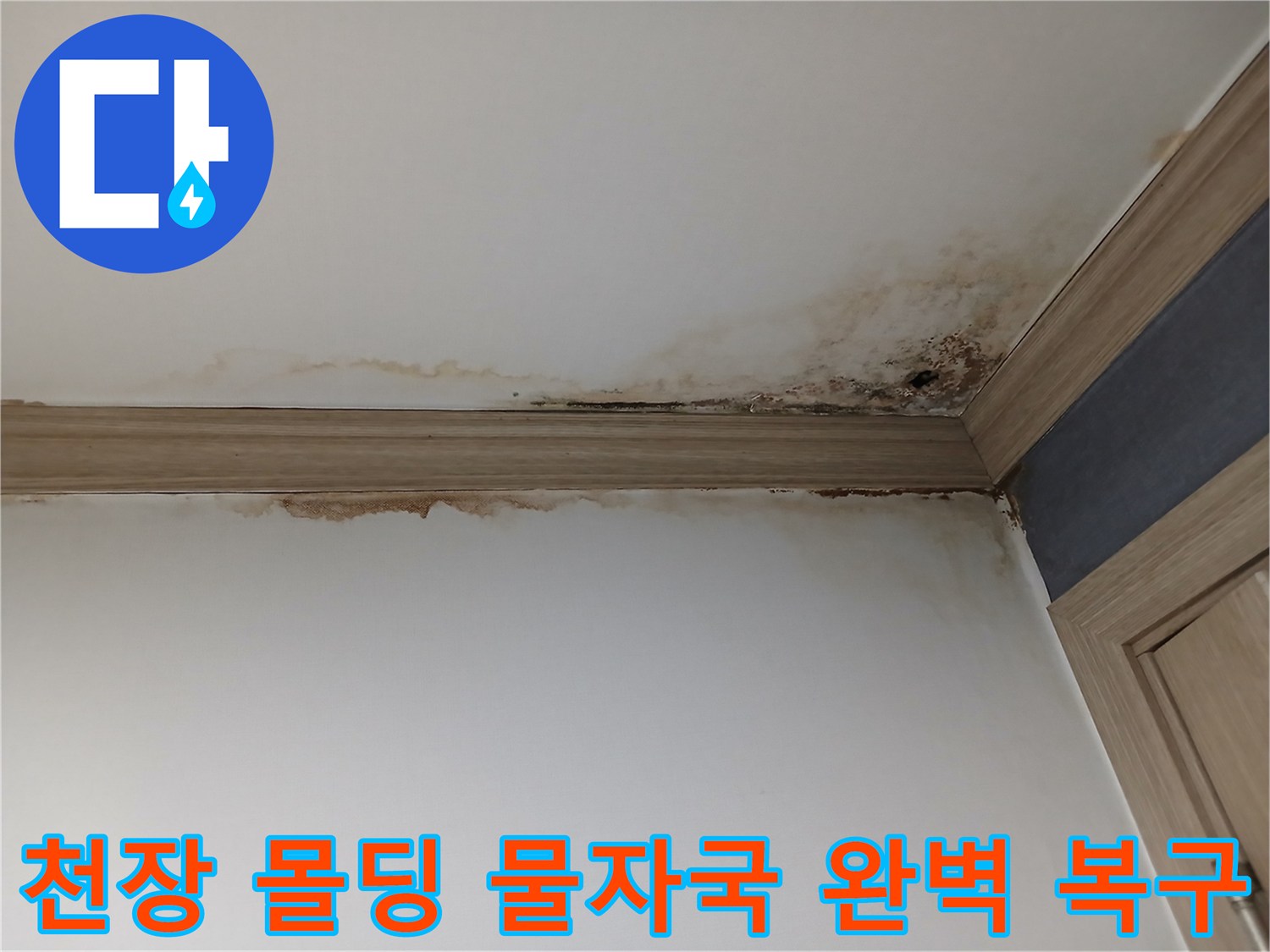 평택 지역-아파트 아랫집 작은방 천장 몰딩에-선명하게 나타난-누수 물자국과-곰팡이