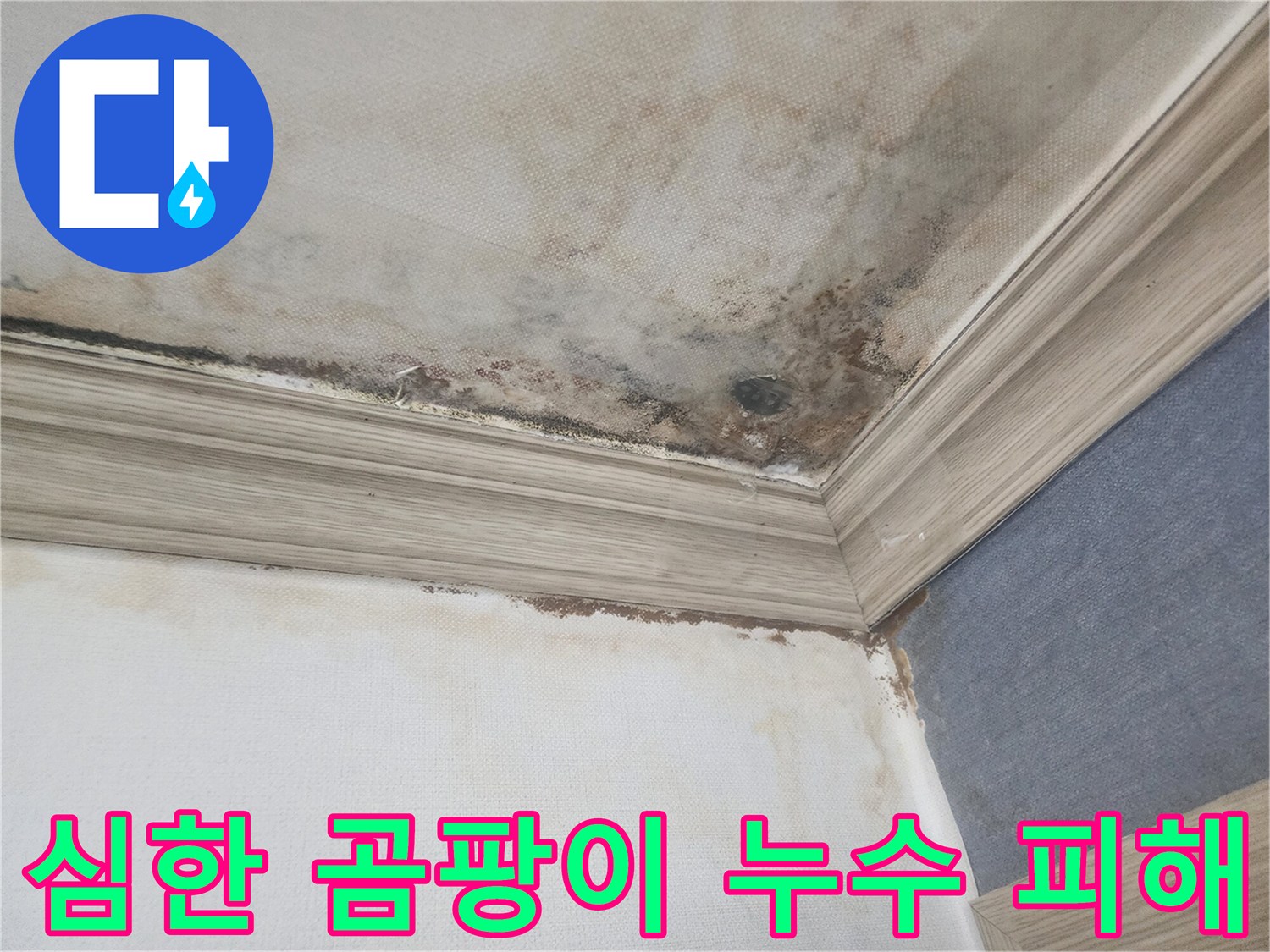 평택의 한 가정에서 천장 누수로-인해 발생한 심각한 곰팡이와-물자국은-누수보험 처리가 가능한 상황을 보여줍니다.