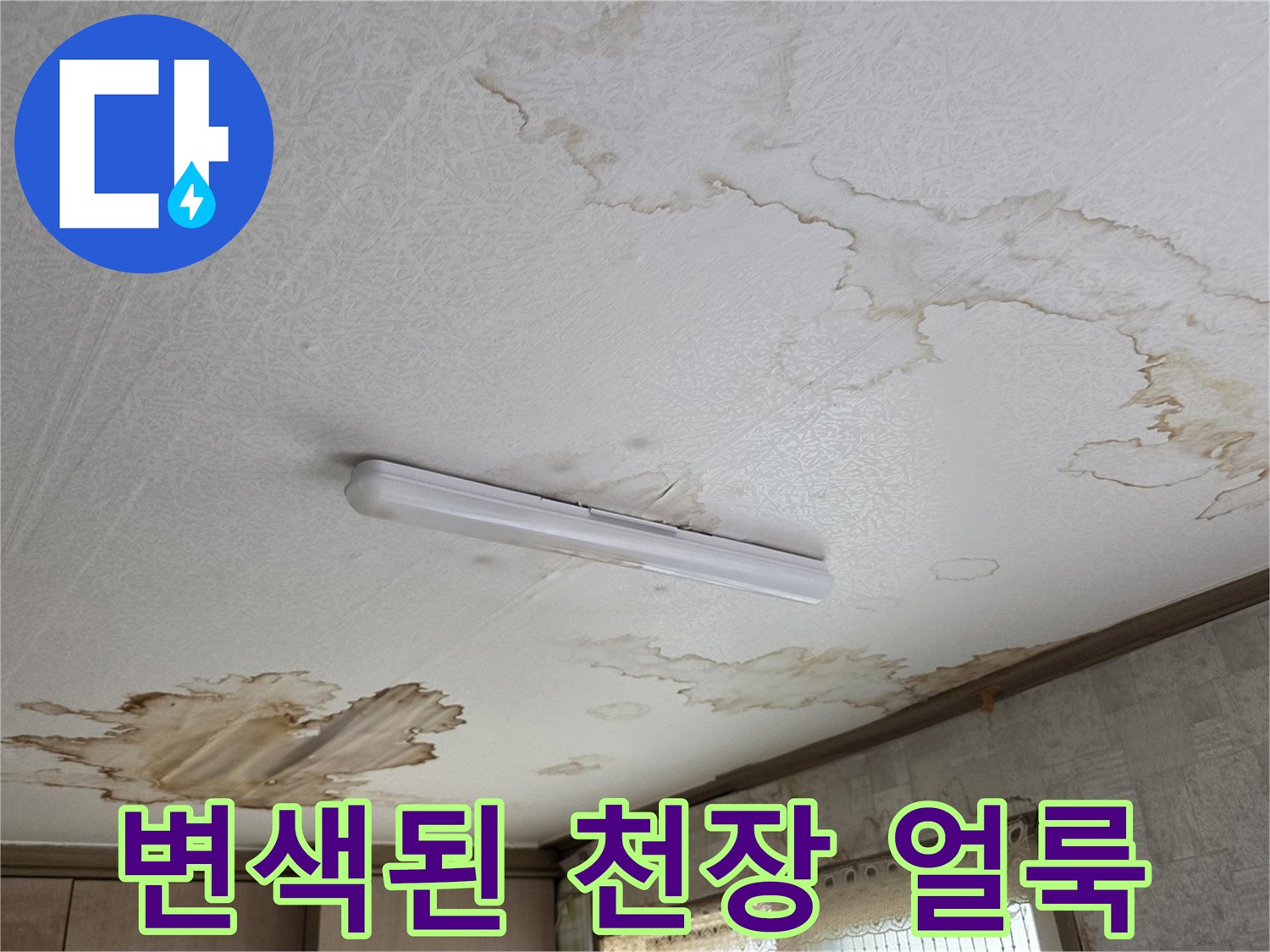 파주 교하 현장-물이 스며들어 갈색으로 변한 천장 벽지 모습
