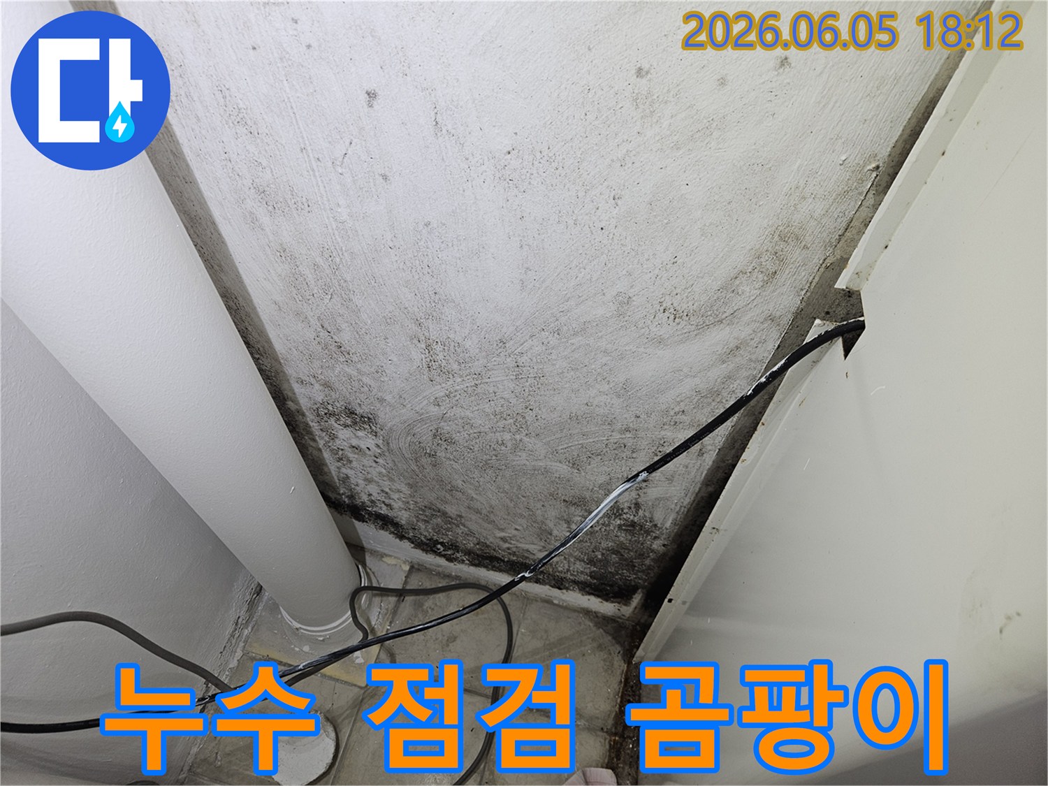 누수-점검-중-벽면에-발견된-심각한-곰팡이와-오랜-습기-흔적