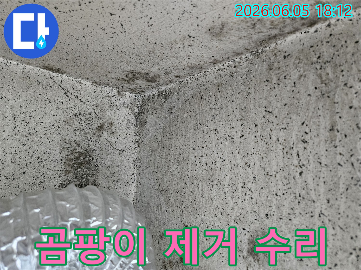 습한-환경에서-발생한-벽면-모서리의-곰팡이-증식-상태