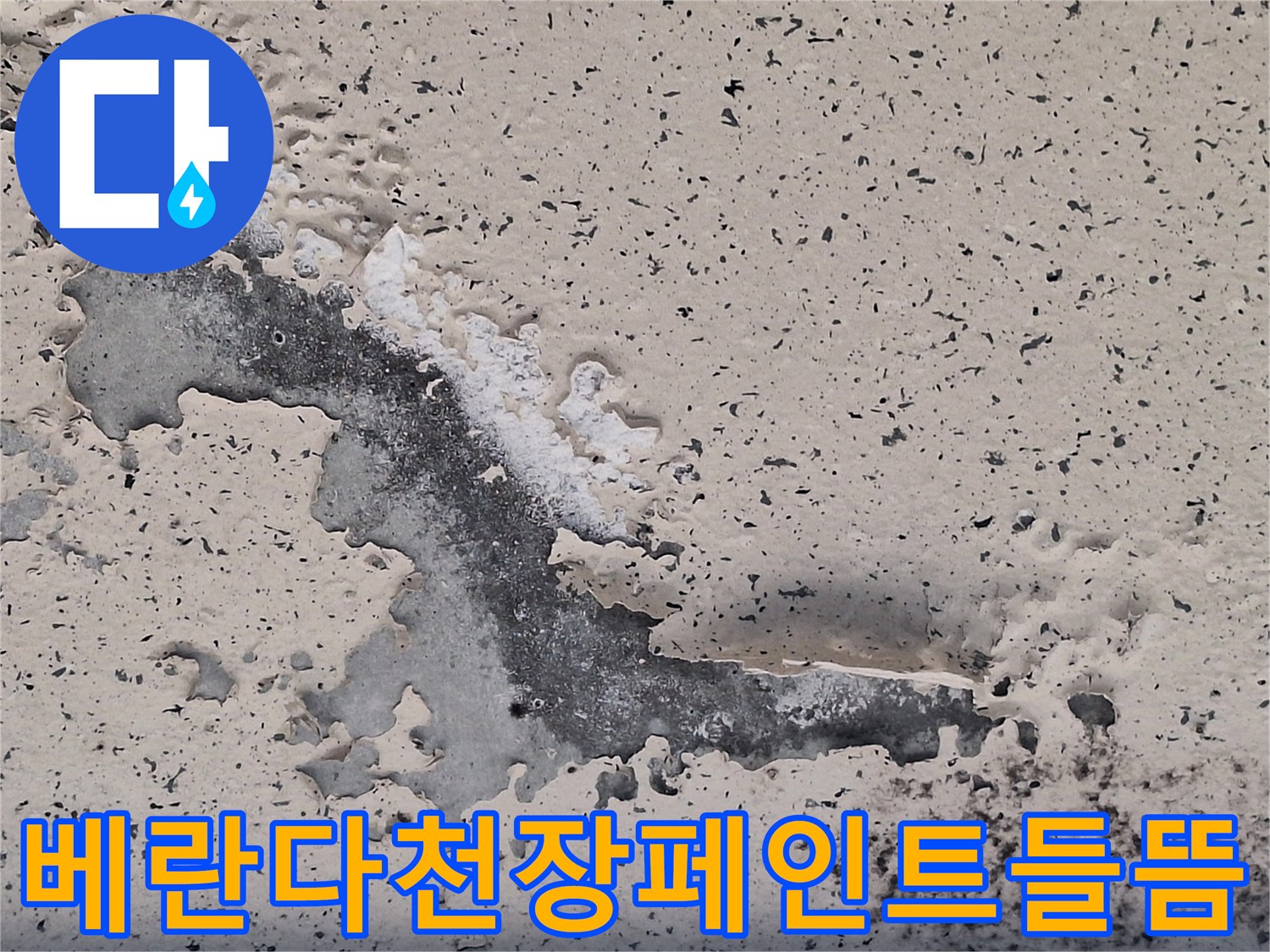 양주 아파트 베란다 천장 페인트가 벗겨지고 들뜬 상태를 보여주는 사진