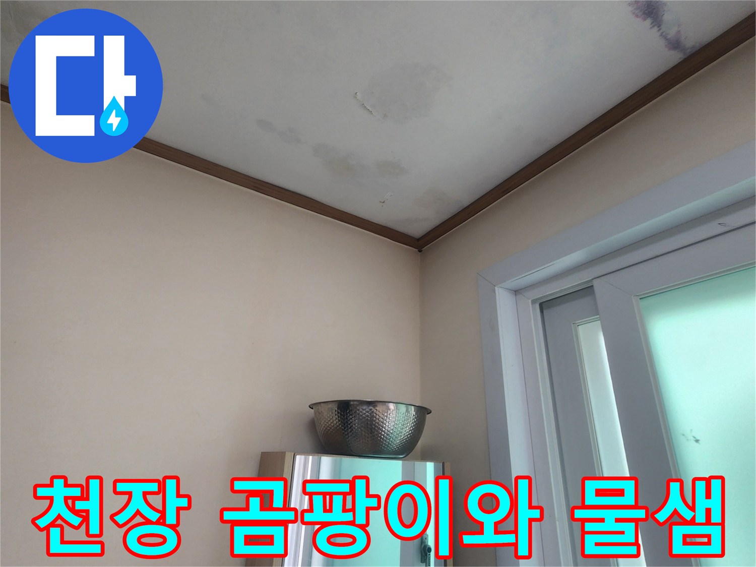 물이 계속 떨어져-임시로 양동이를 받쳐둔 안타까운 상황