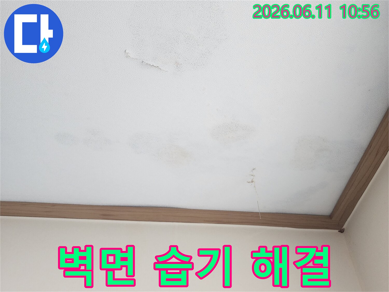 벽에 스며든 물로 인해-습기가 차고 손상된-벽면을 전문적으로 해결합니다