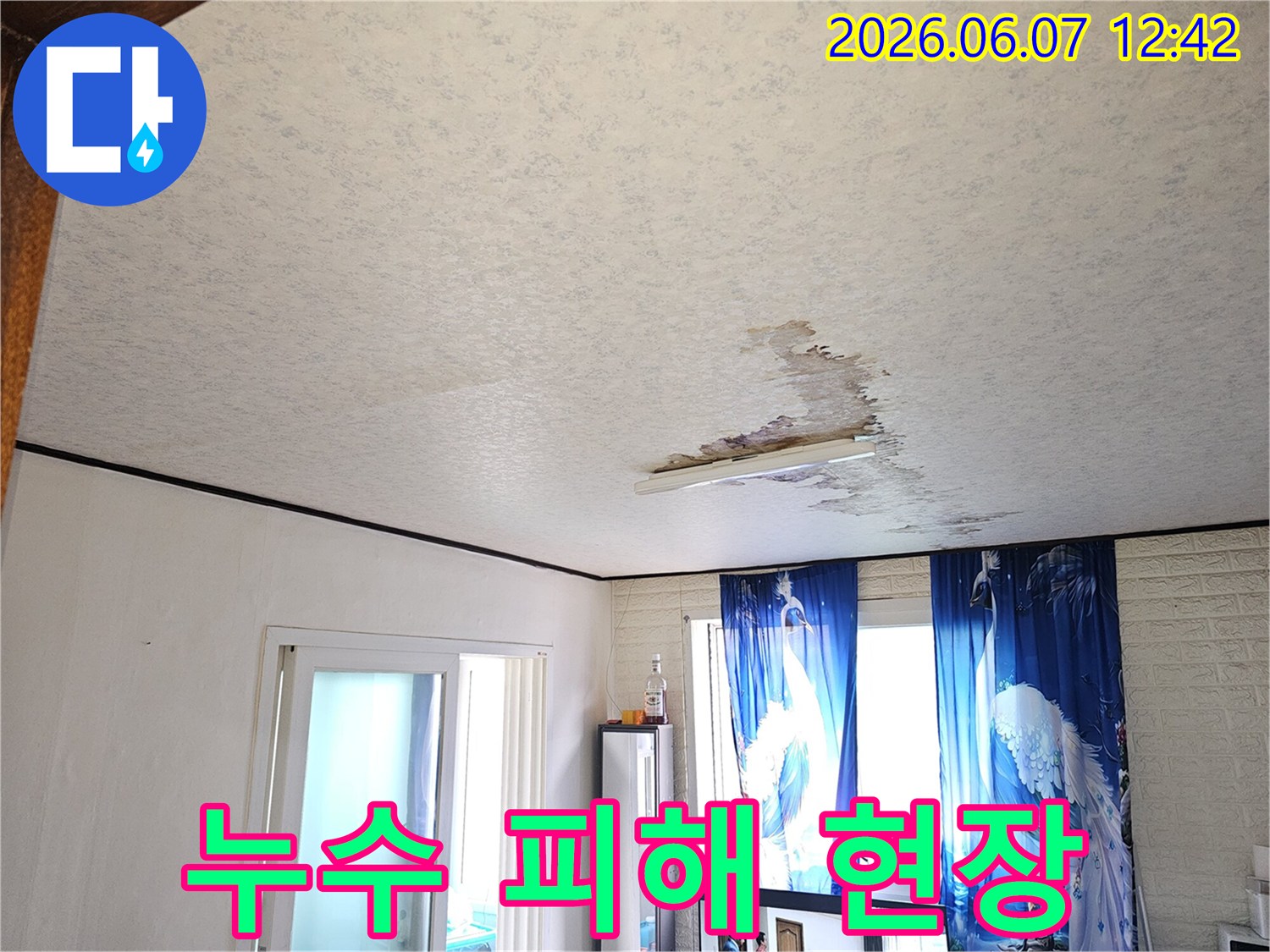 주택-천장에-발생한-누수-흔적과-젖은-벽지를-보여주는-사진