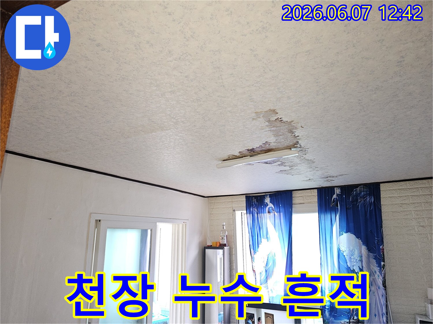 천장에서-물방울이-떨어져-벽지가-젖은-심각한-누수-현장-사진