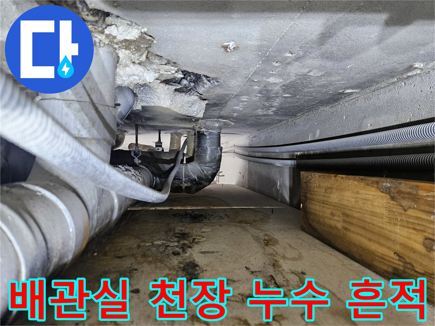 배관 주변의 심한 오염과 슬라브 습기 현상