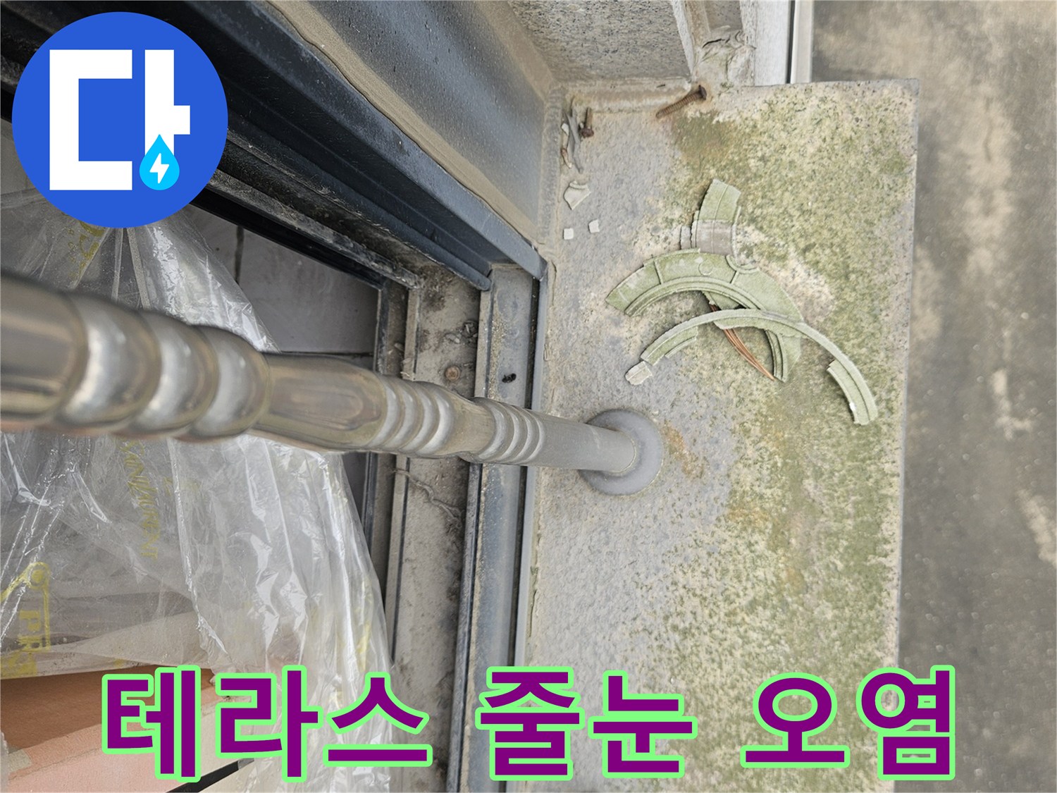 외부 테라스 석재-이끼와 물때가 낀 노후된 타일 상태