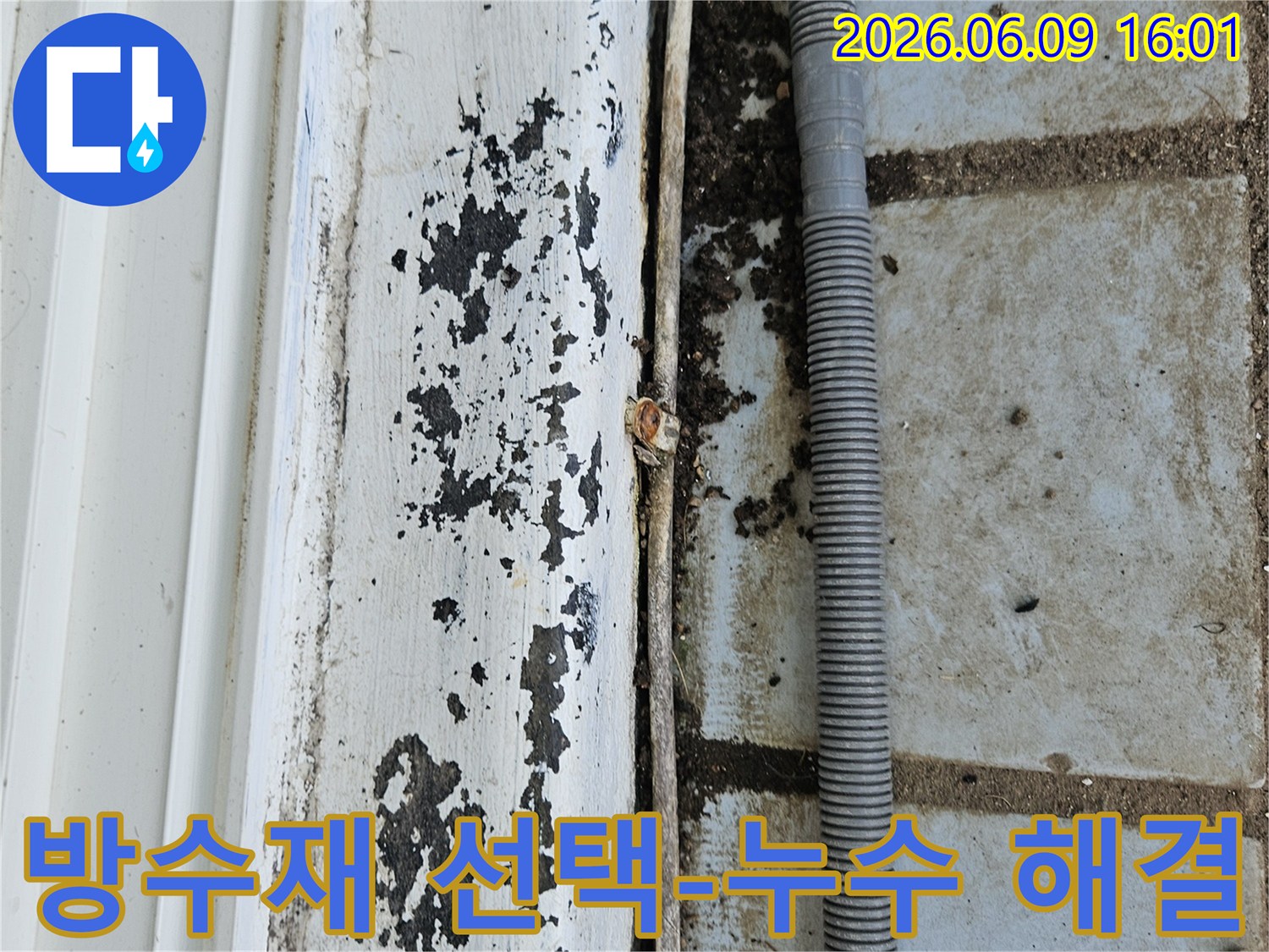 벽면의 페인트 손상과-검은 얼룩은-적절한 방수재 선택의 중요성을 보여주며-누수 해결을 위한 첫걸음입니다