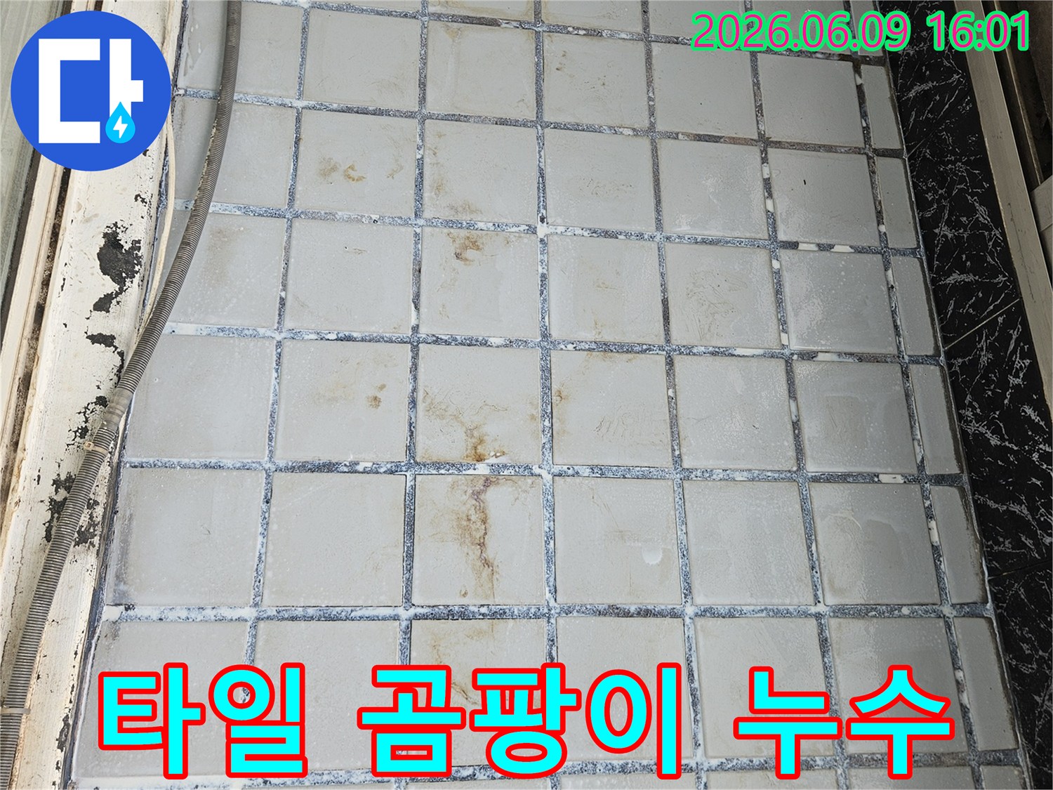 의정부 호원동 한신아파트에서-누수로 인해 타일 표면에 발생한 곰팡이와-오염을 제거하기 위한 현장 점검