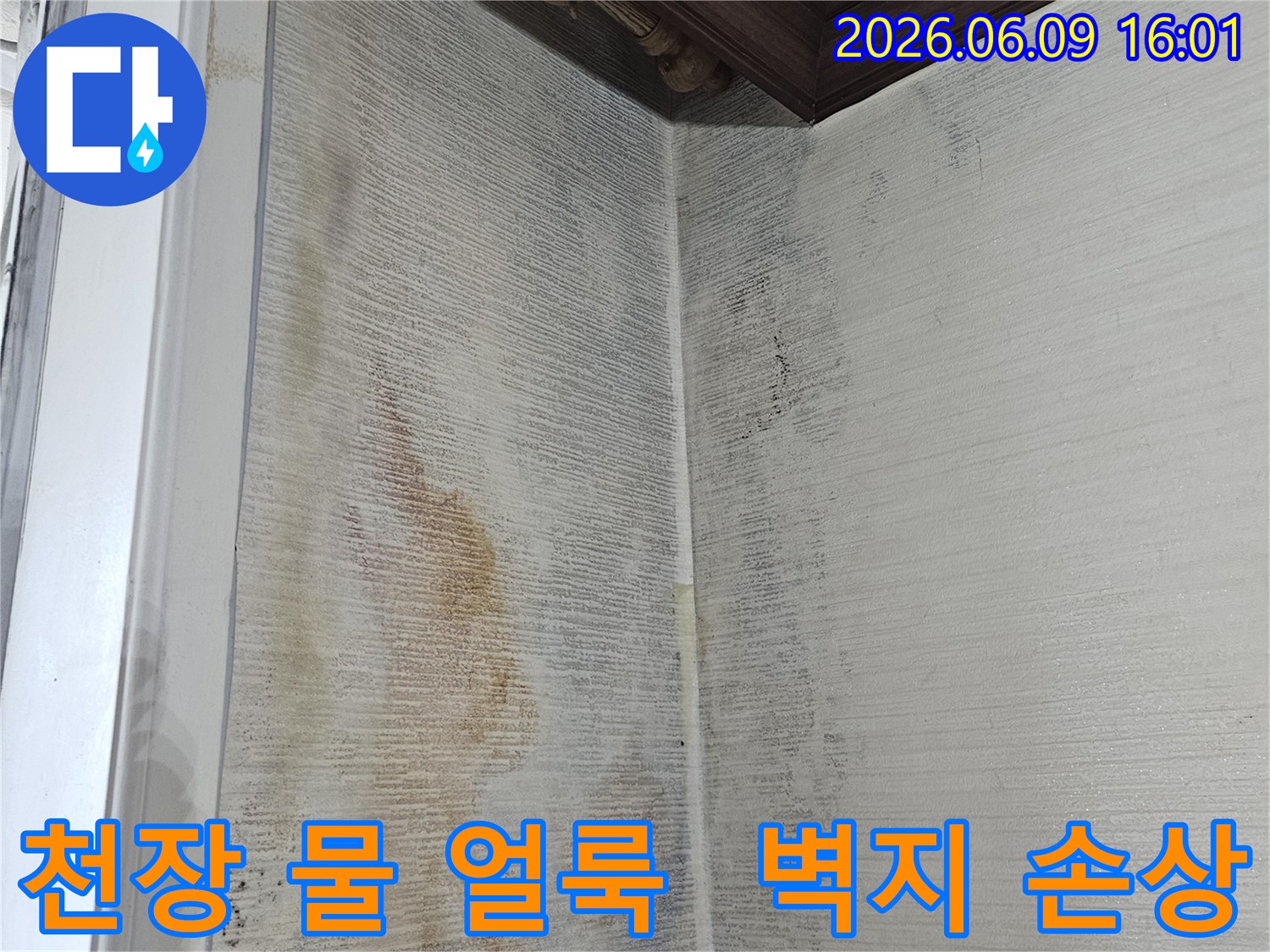 천장 벽지에-물 얼룩이-선명하게 보이며-곰팡이가-번지고 있는-누수 현장입니다