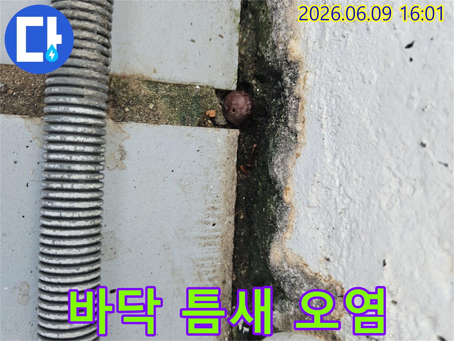 콘크리트 바닥의 틈새에 발생한 오염과-작은 이물질-그리고 주변의 낡은 배관을 보여주는 누수 현장 이미지