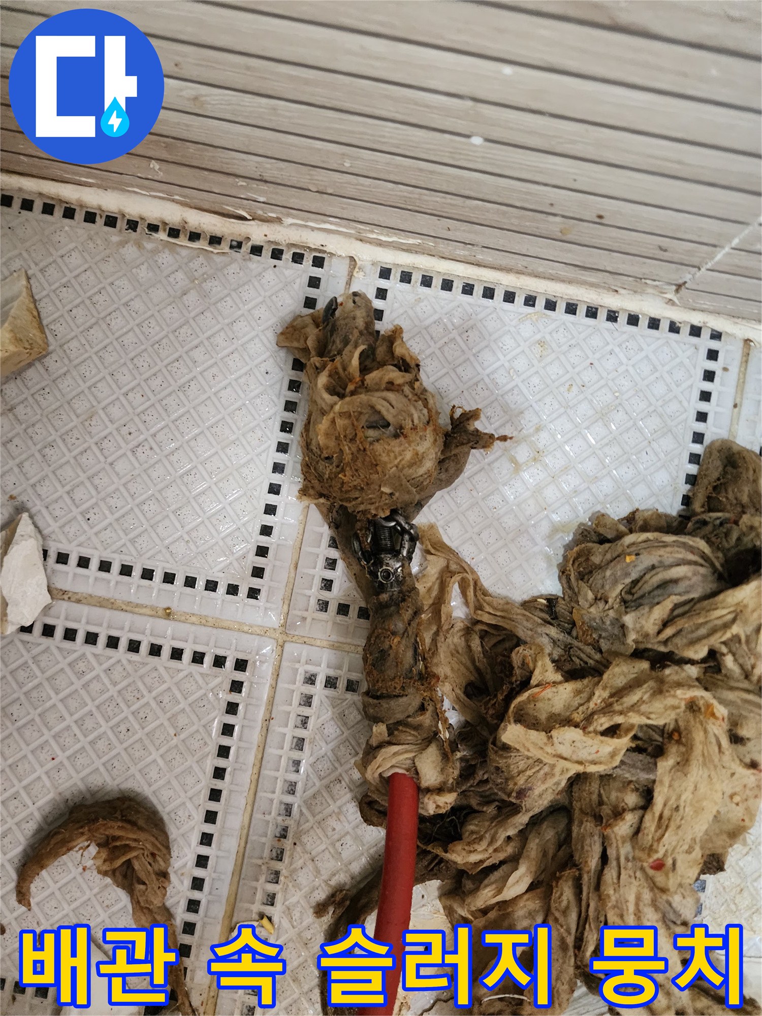 배수구 내부에서 나온 오염된 머리카락과 기름때 덩어리