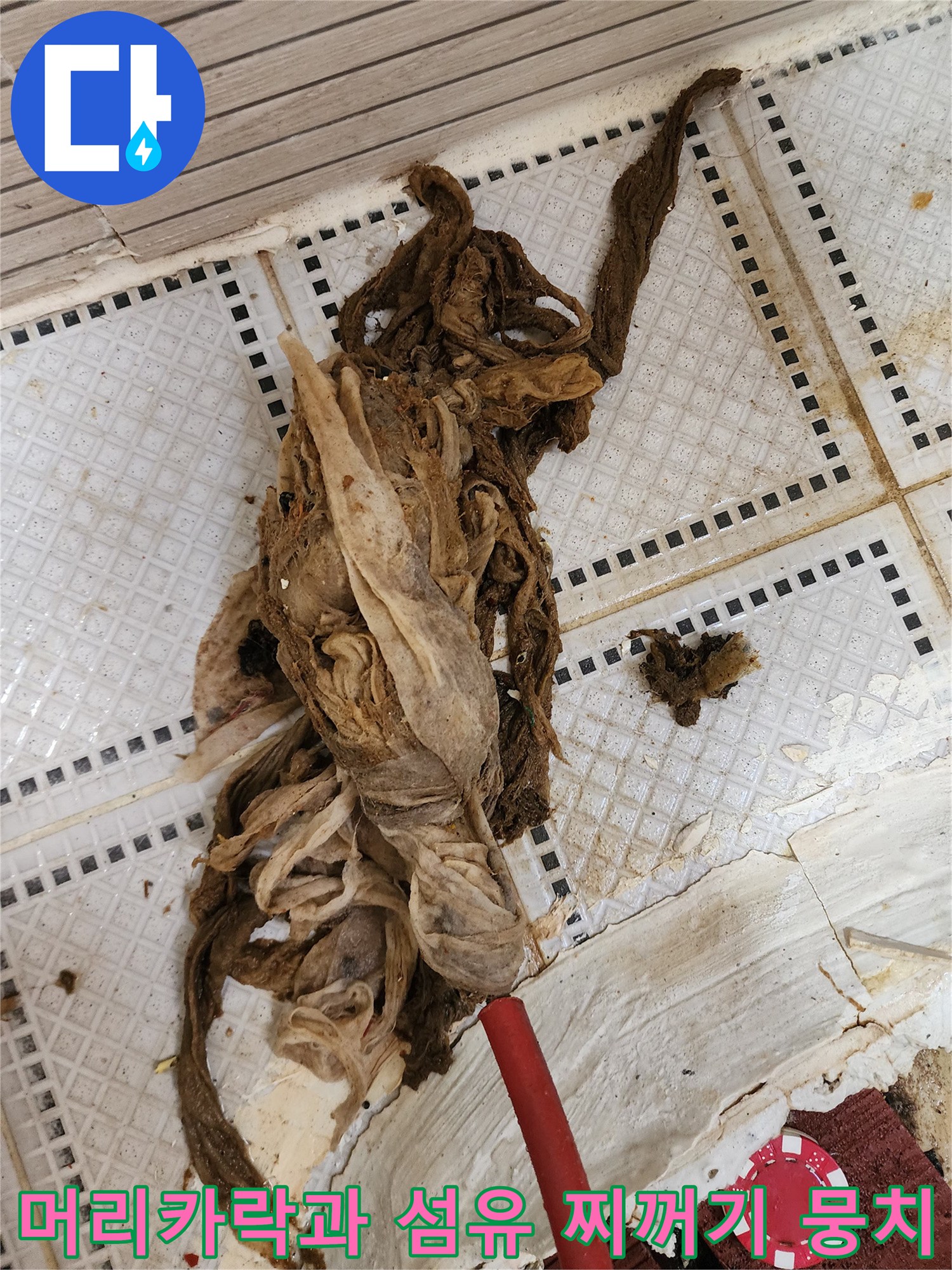 상계동 화장실 배수구에서 끌어올려진 커다란 머리카락 슬러지 덩어리