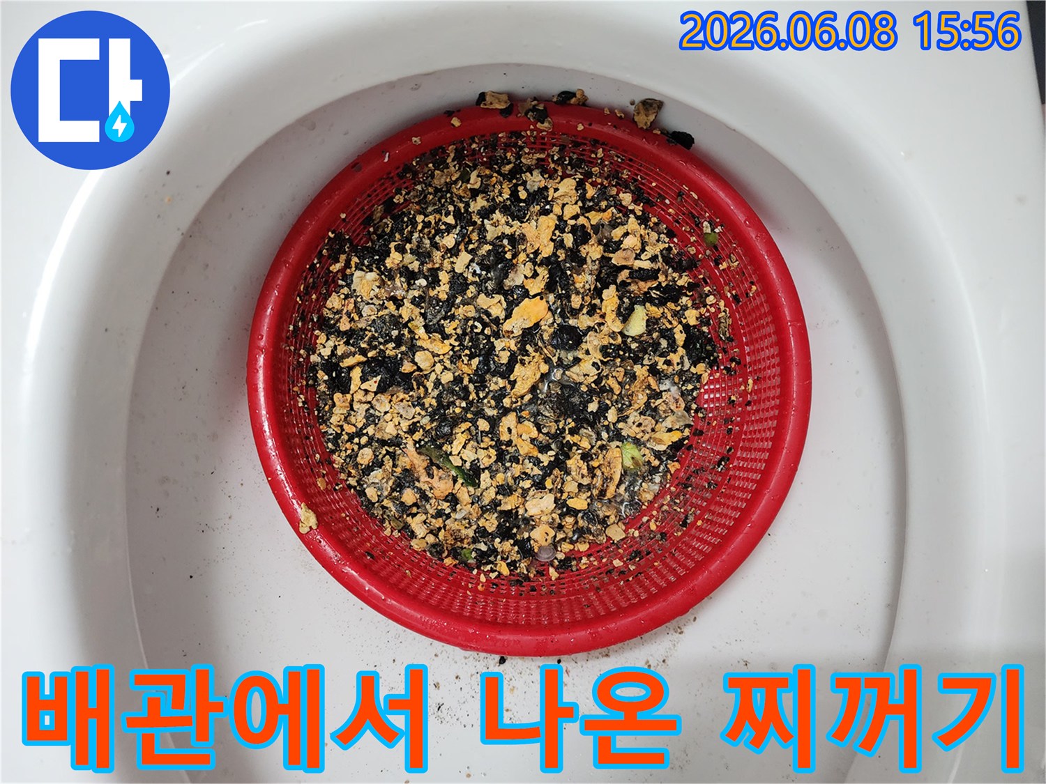 빨간 채반에 모여있는 기름 슬러지와 배관 오물