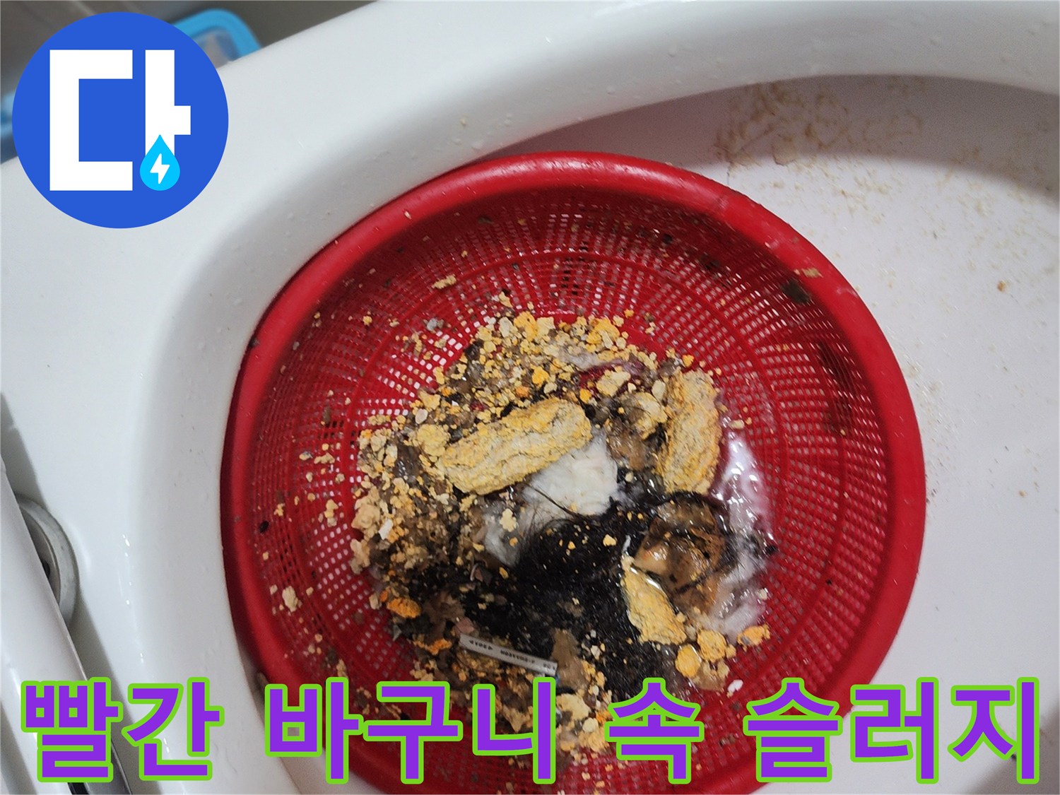 배관 스케일링 작업 후-추출된 머리카락과 오물 덩어리