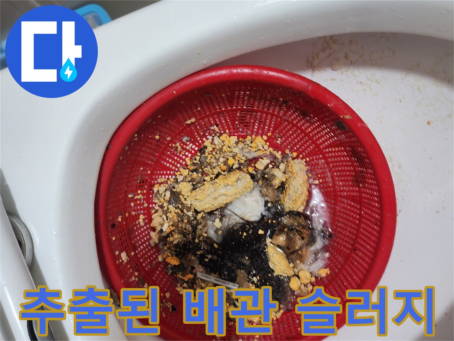 배수구에서 뽑아낸 머리카락과 찌꺼기 더미