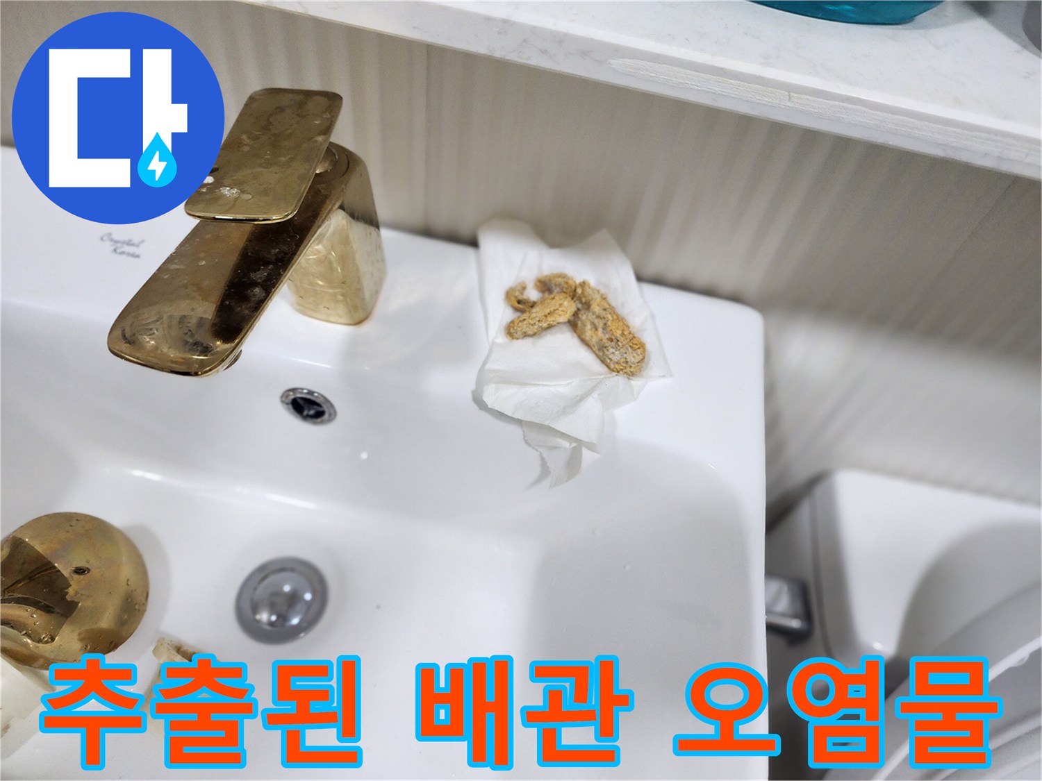 흡입 장비를 통해 수거된 배수구 내부의 이물질 덩내