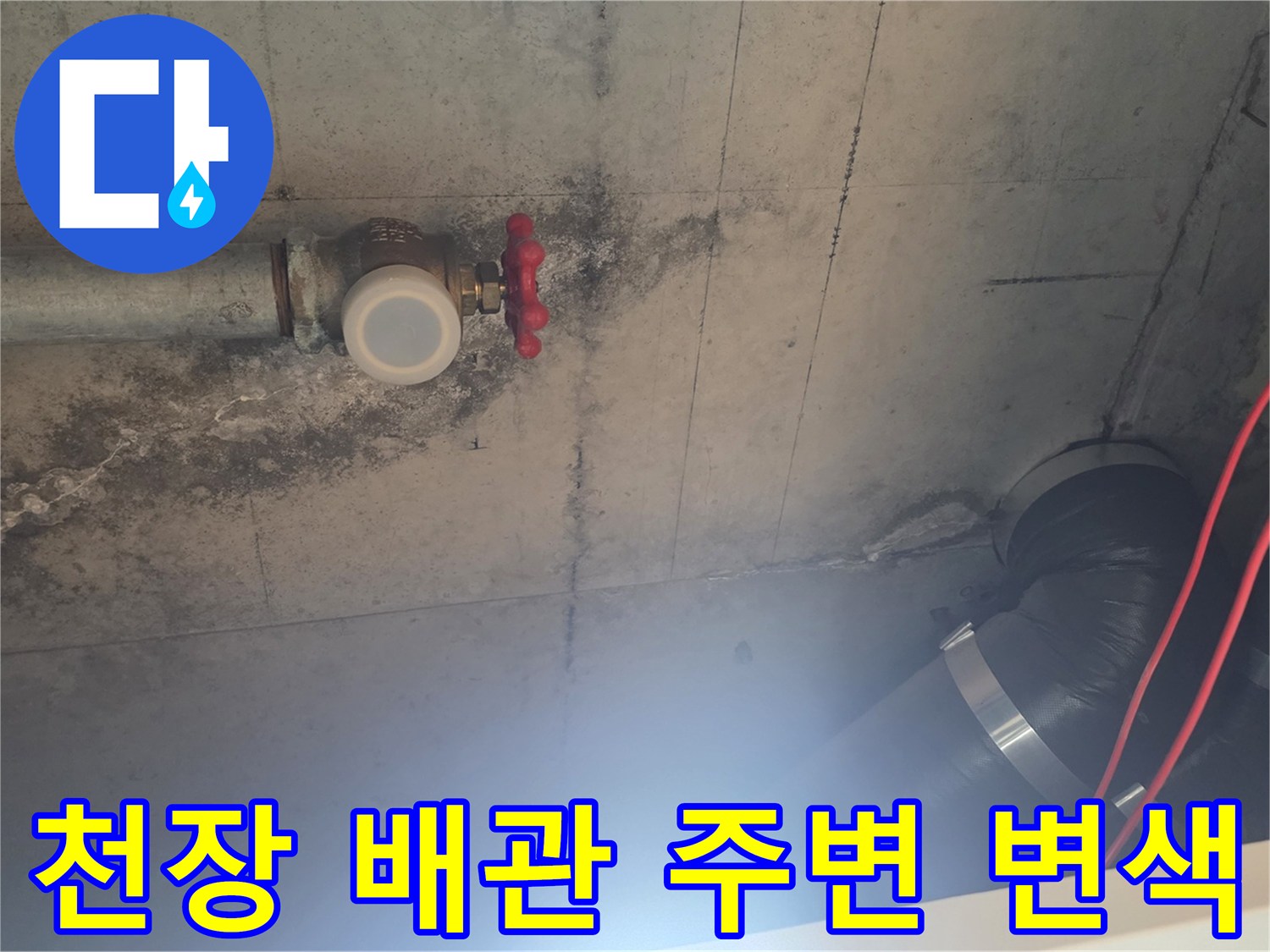 배관-연결-부위와-주변-콘크리트의-습기-스며든-모습