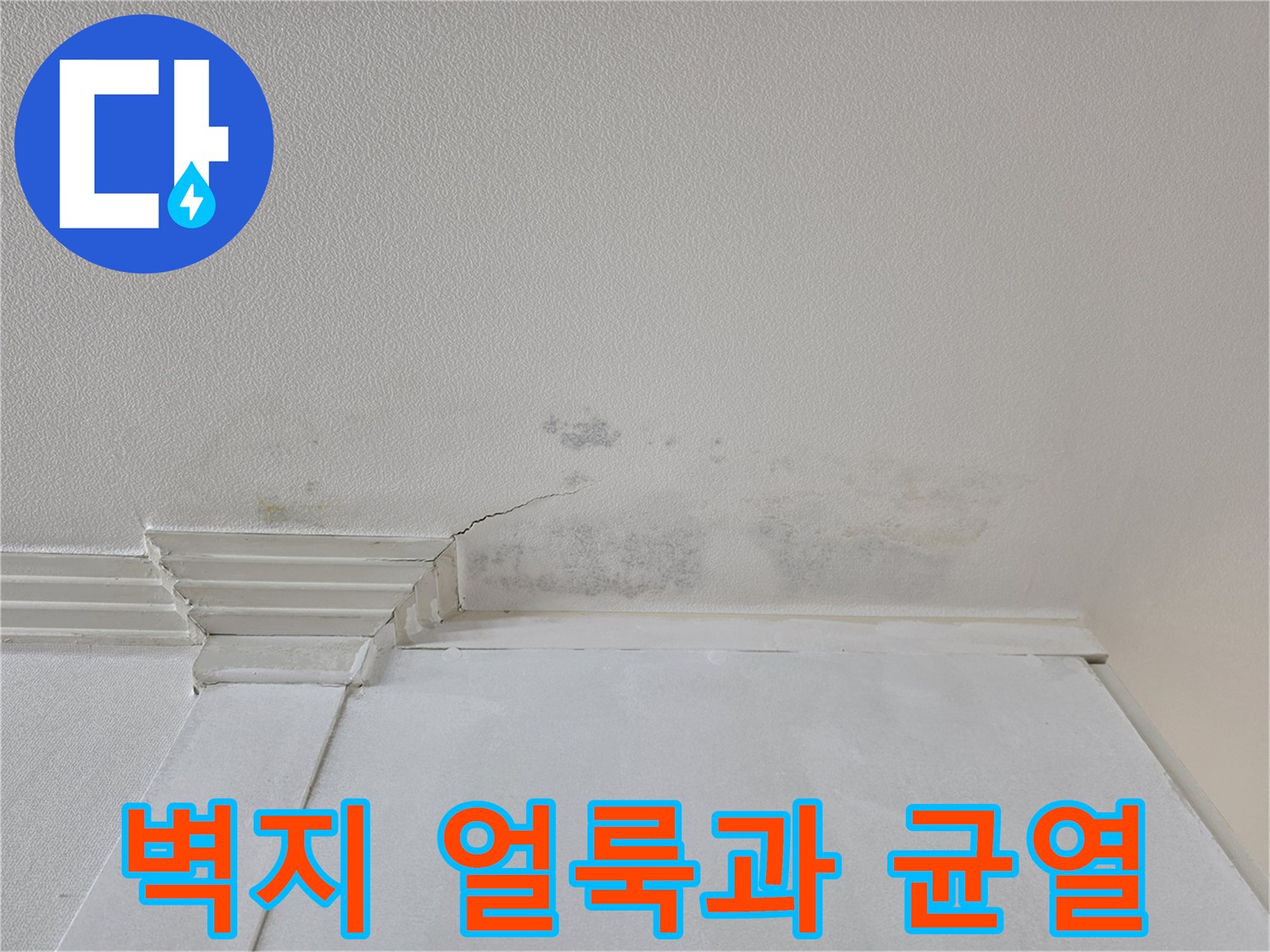 천장 몰딩 주변의 젖은 벽지와 갈라진 틈새 현상