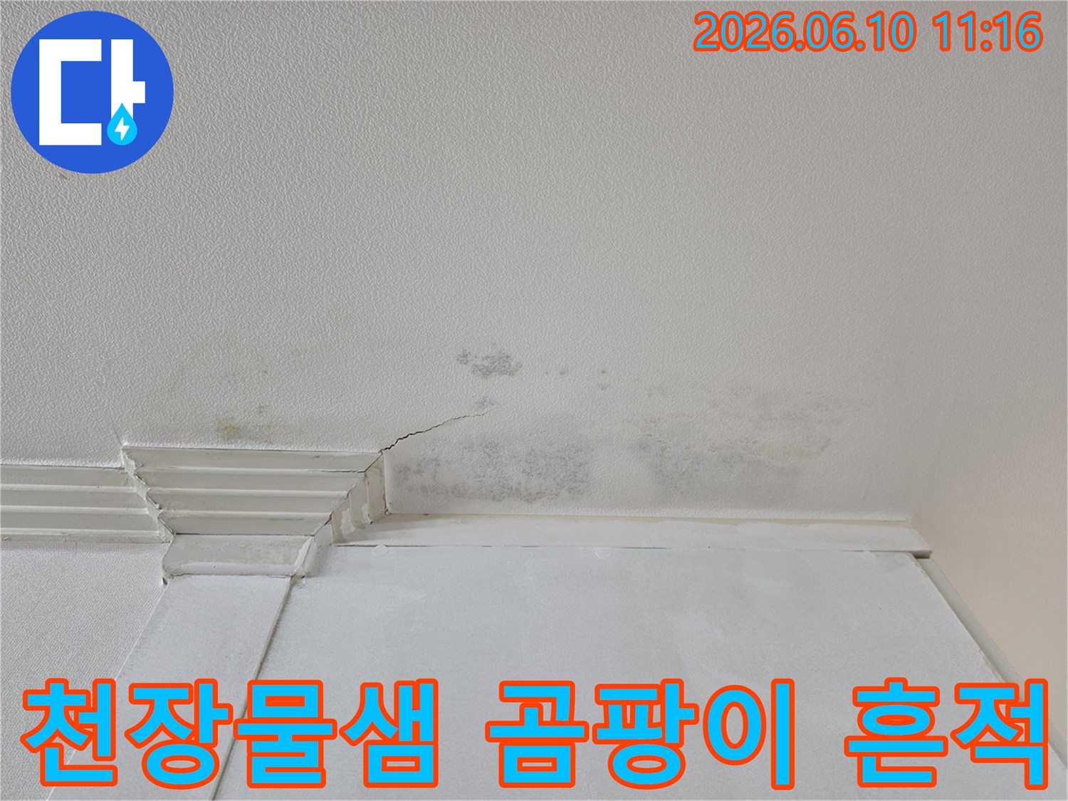 천장 벽지에 물이 새어-얼룩과-곰팡이가-생기고-미세한-균열이-보이는-상황입니다