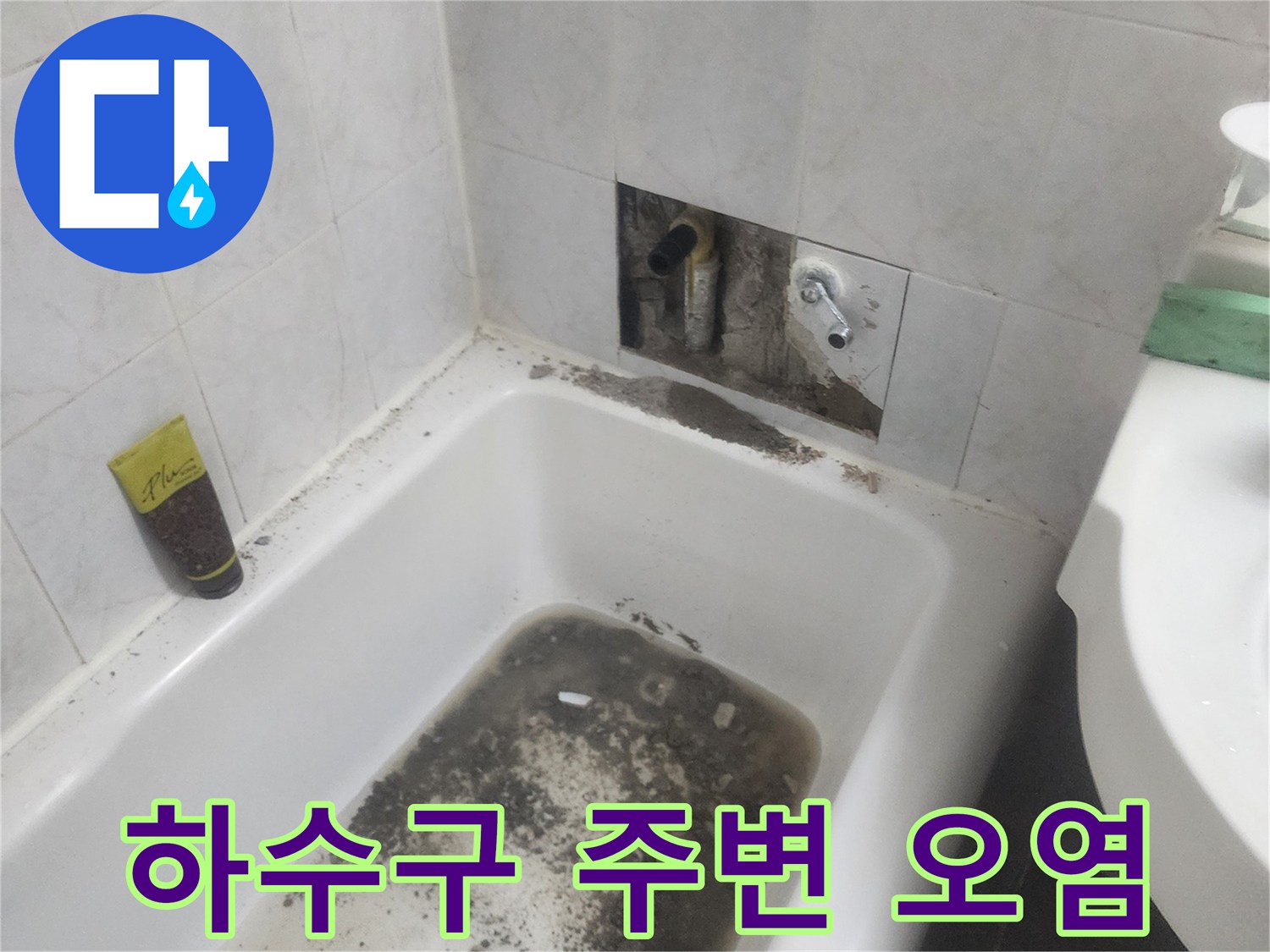 화장실 배수구-주변의 심한 물고임과 곰팡이 발생 현황