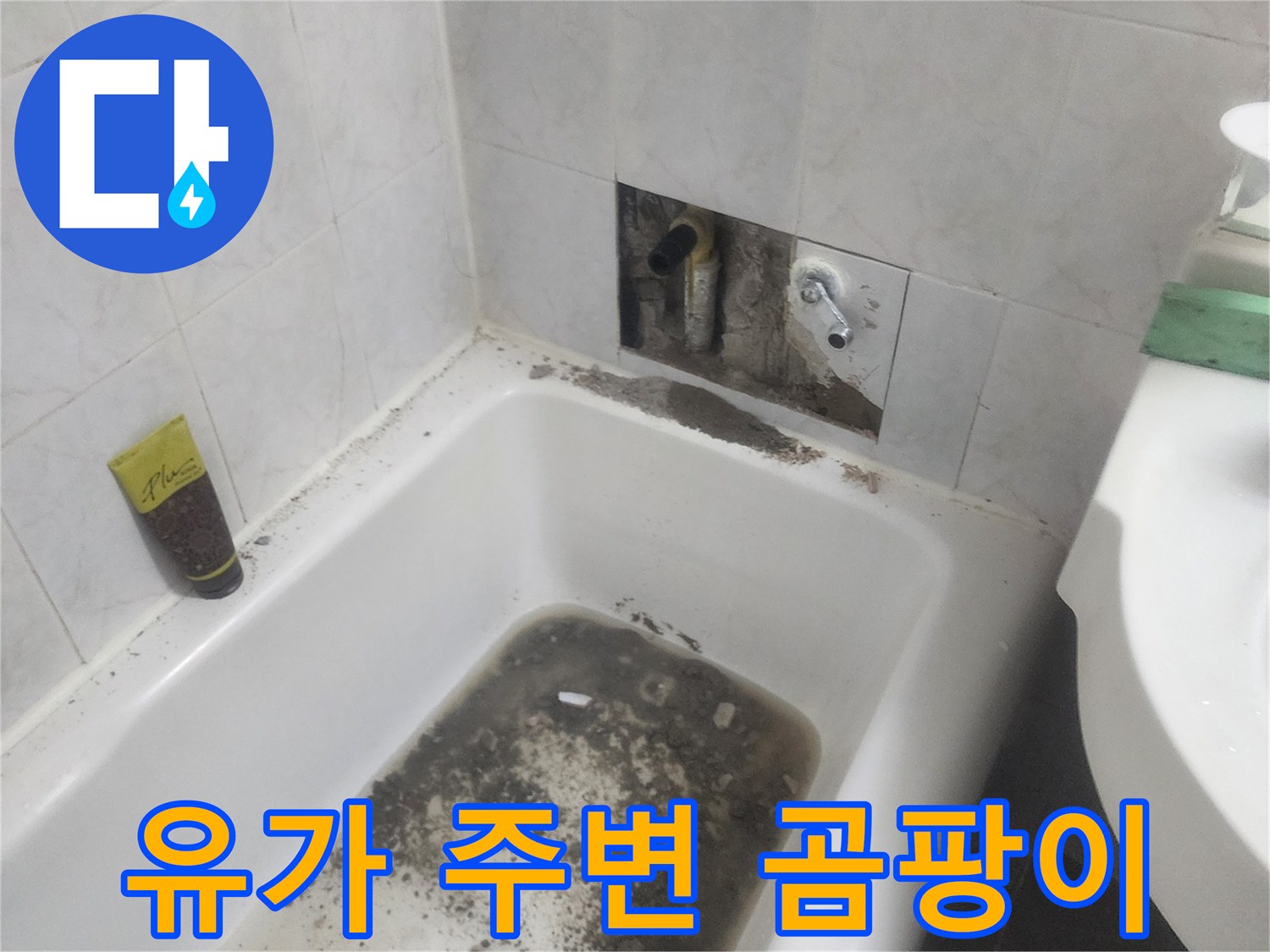화장실 배수구-주변의 오염 및 물고임 현상 촬영