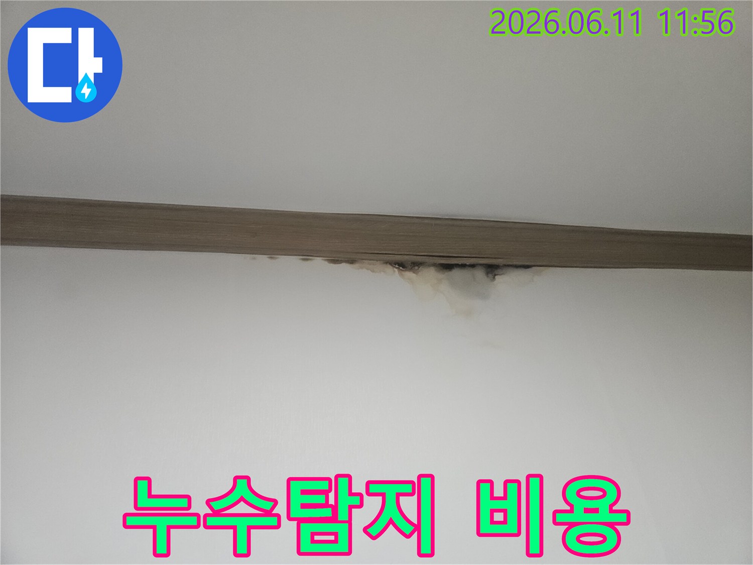 천장 몰딩 아래-누수로 인한 물얼룩과-곰팡이가 발생하여-정밀 탐지가 필요한 현장