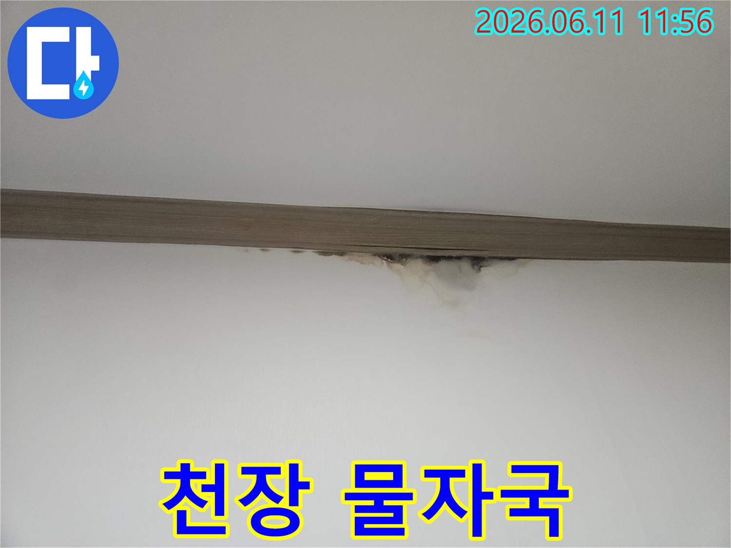 천장 몰딩 아래로-물기가 스며들어-벽지가 변색되고 곰팡이가 생긴 모습